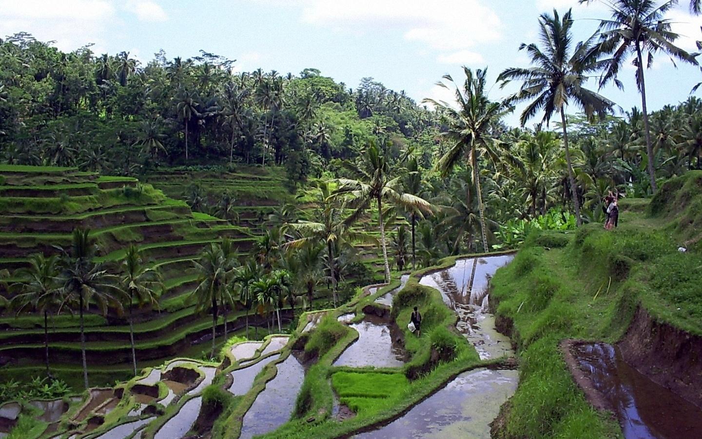 Bali Package 5 Days / 4 Nights