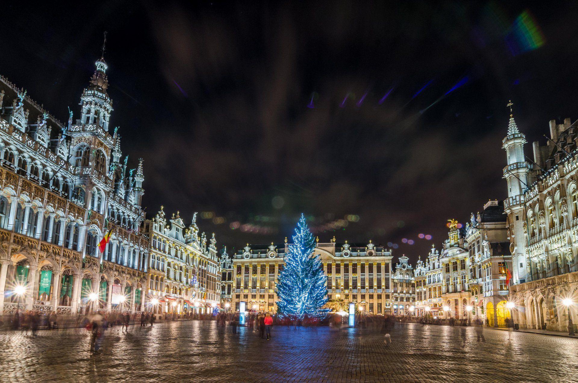 belgium brussels grand place christmas tree christmas night lights