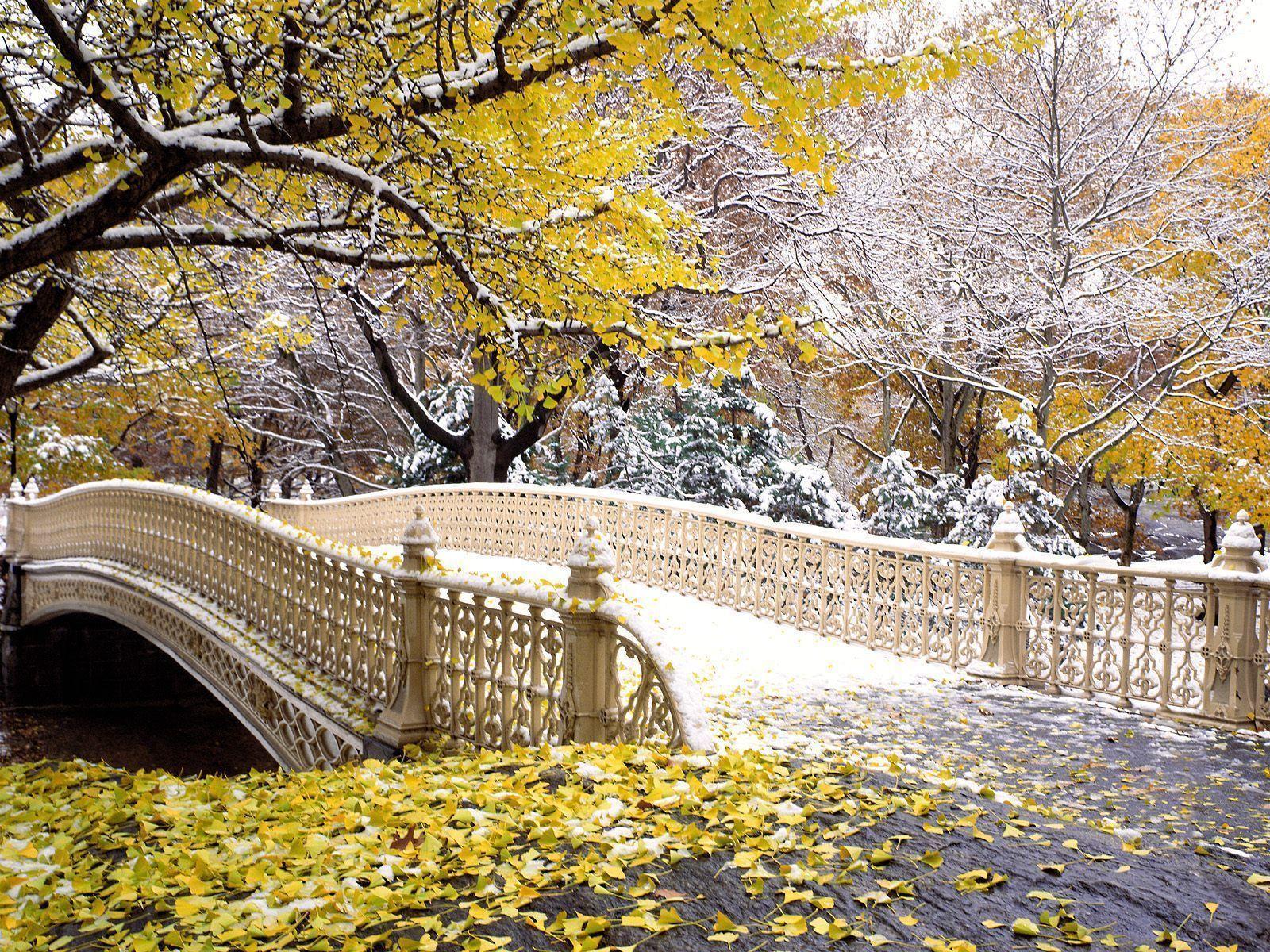 Image For > Central Park Winter Wallpapers