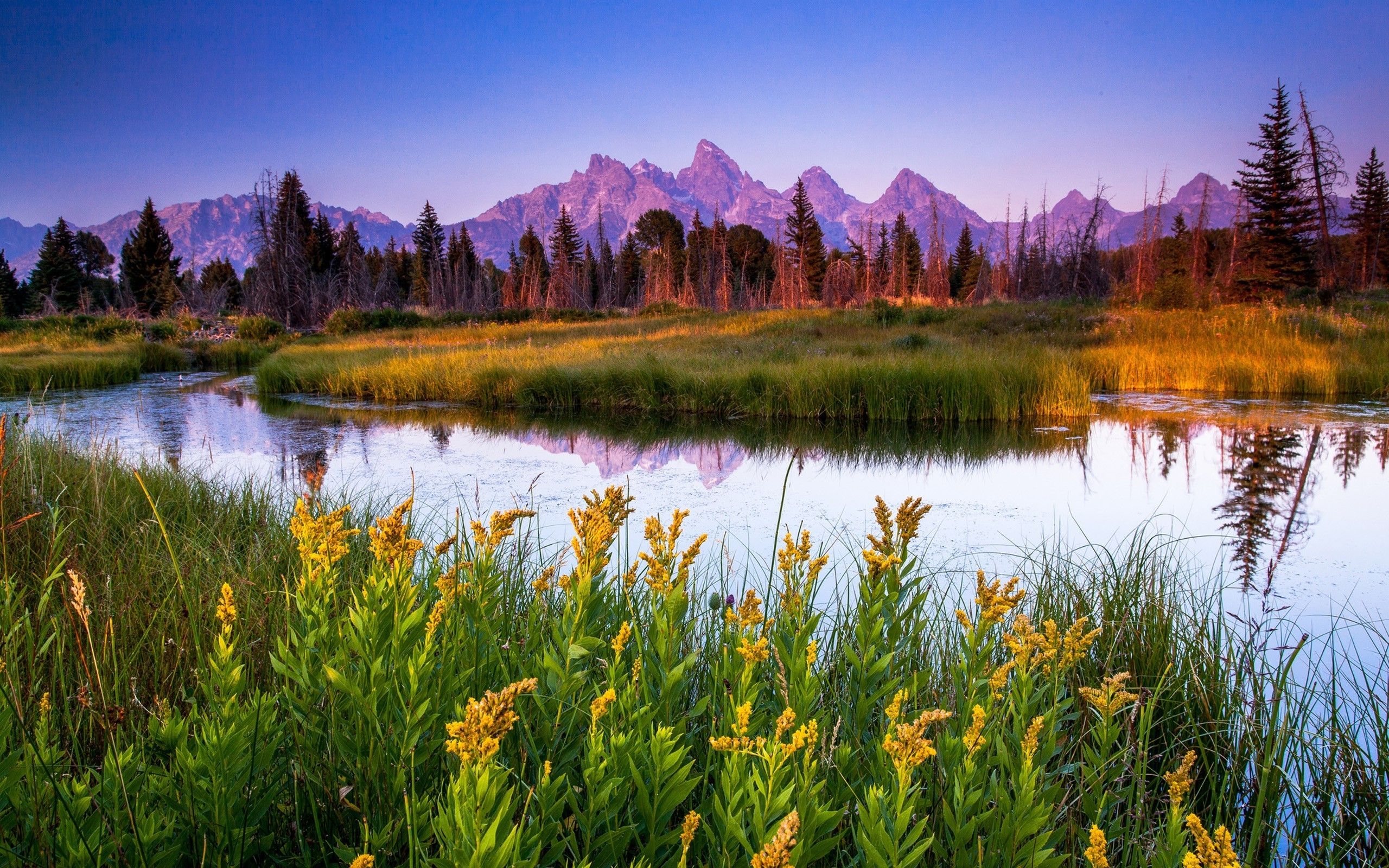 Stunning Wyoming Wallpapers