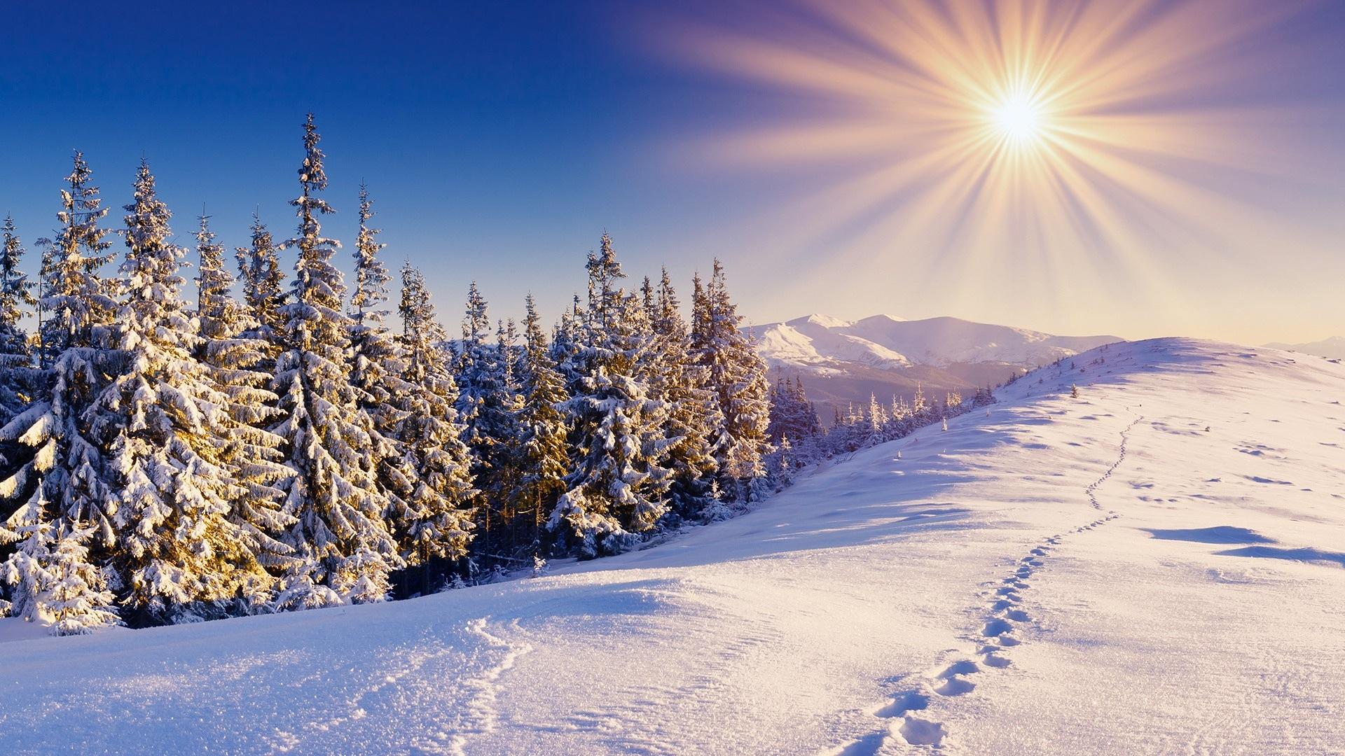 Winter Sun Wallpapers