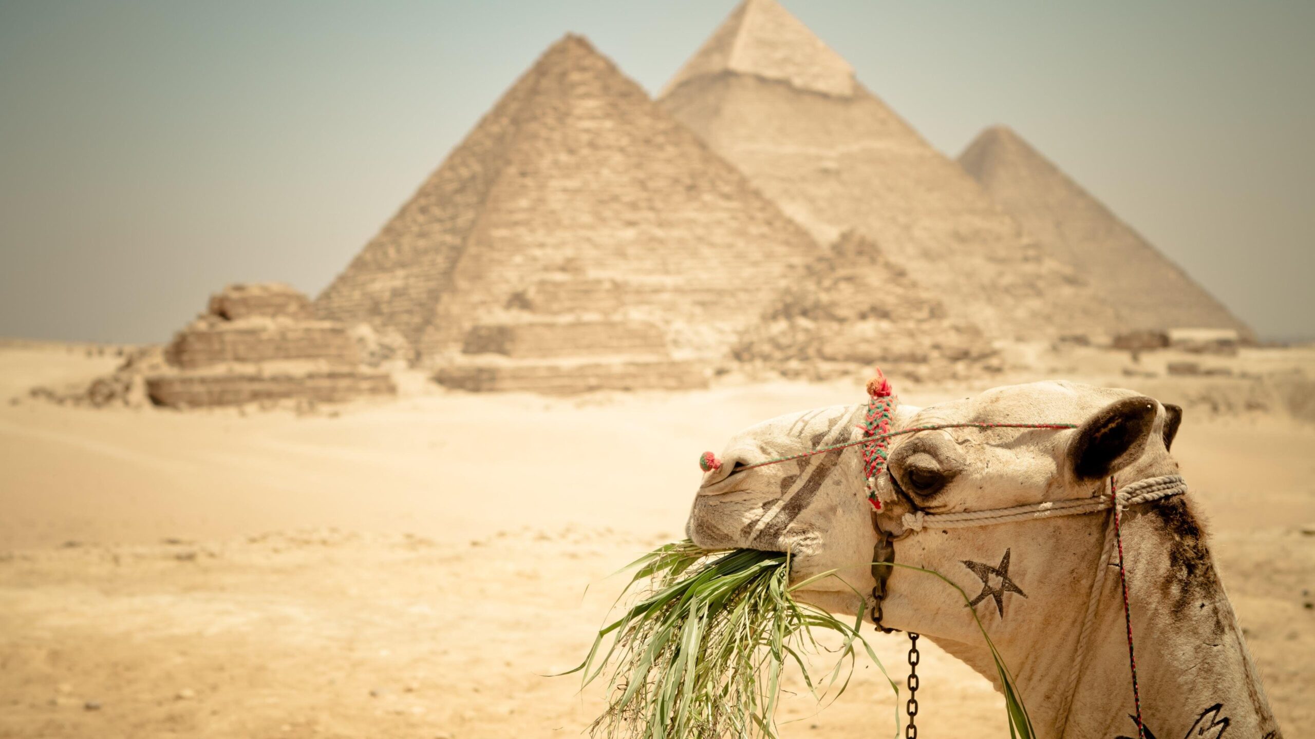 Egyptian Pyramids Wallpapers