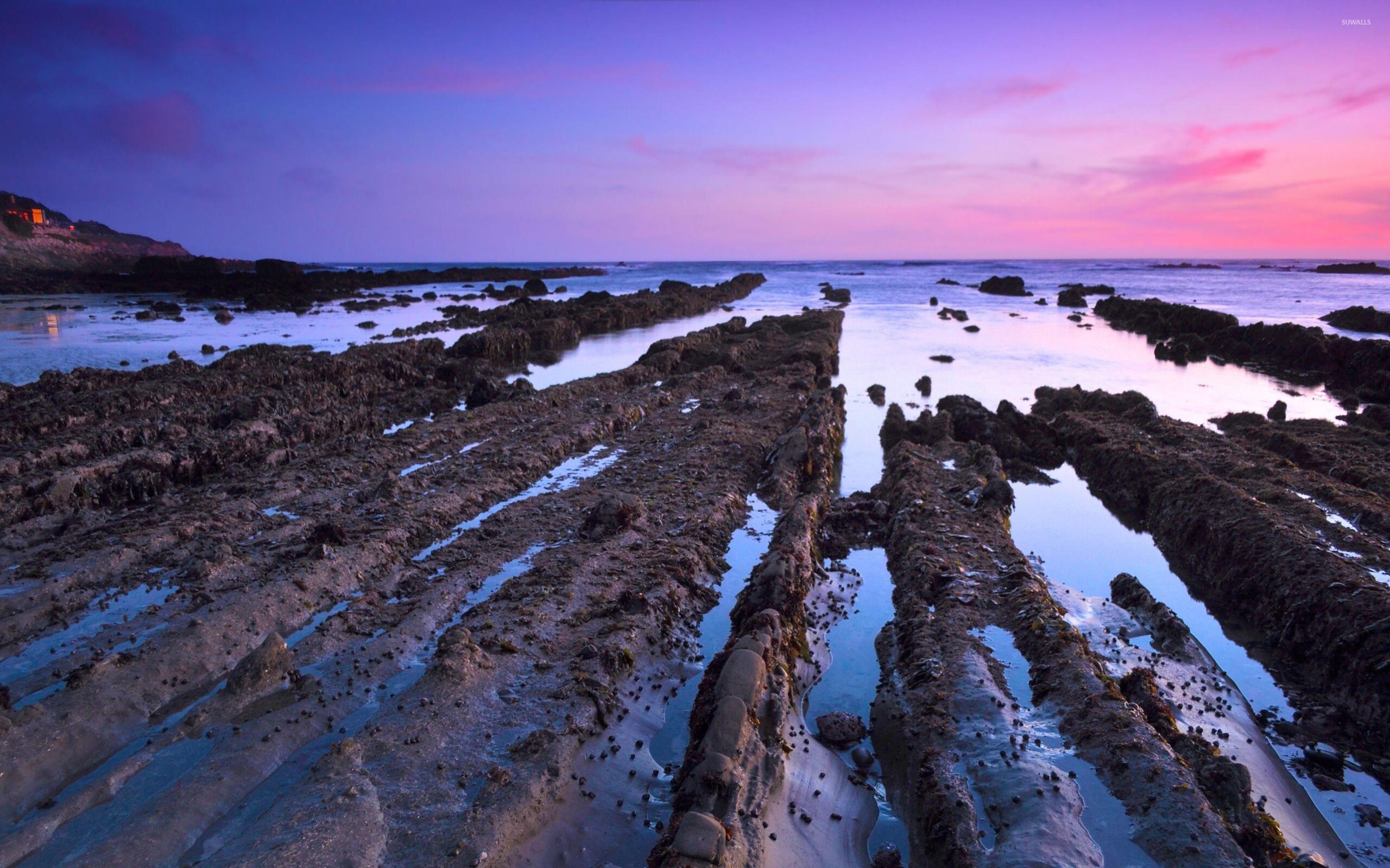 Mud trails towards the ocean wallpapers