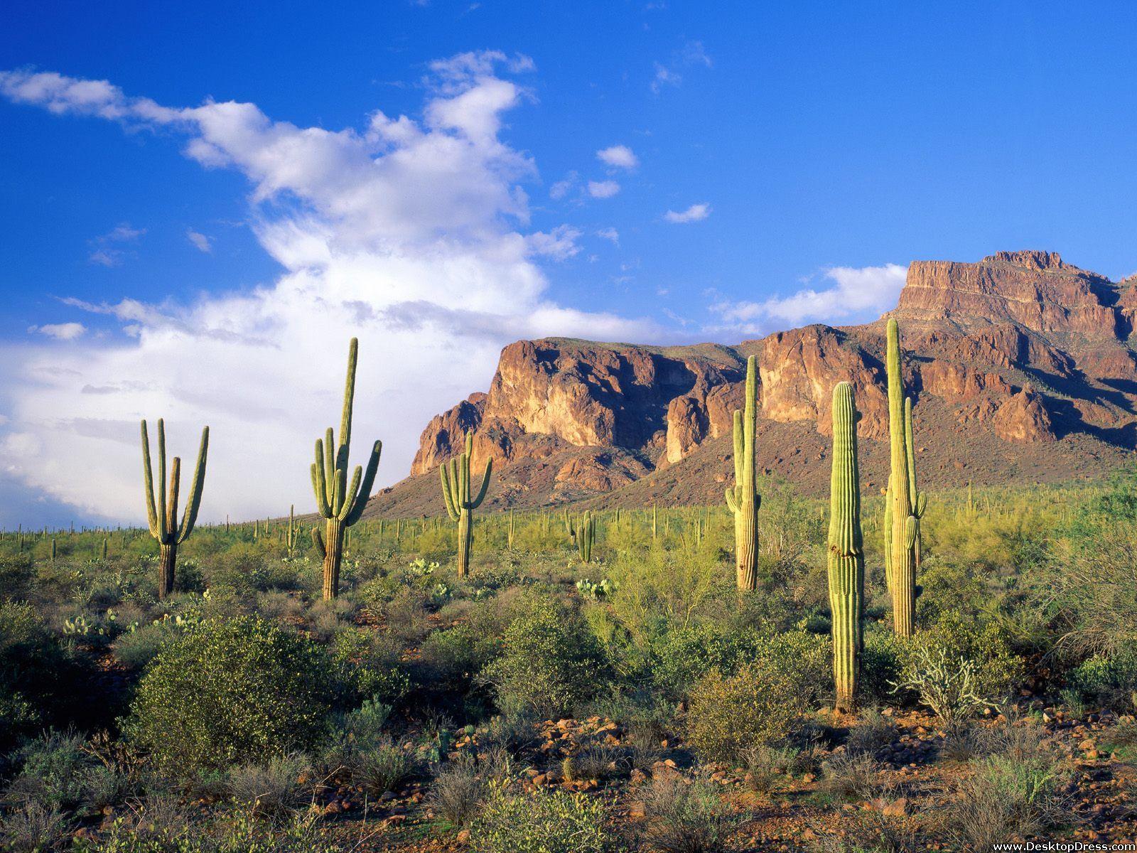 Desktop Wallpapers » Natural Backgrounds » Superstition Mountains