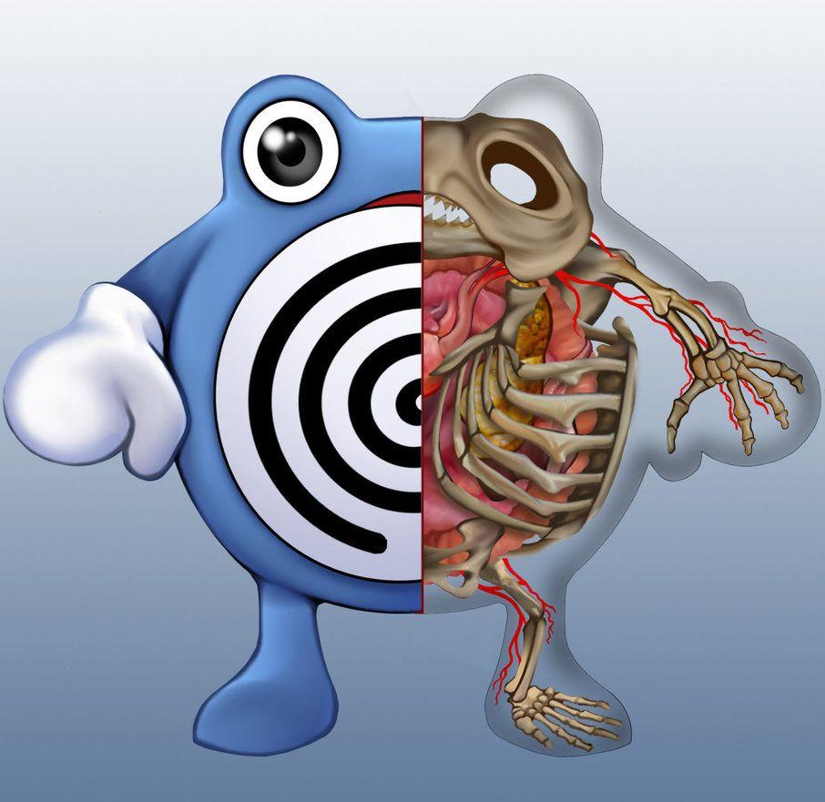 Poliwhirl Anatomy by Christopher