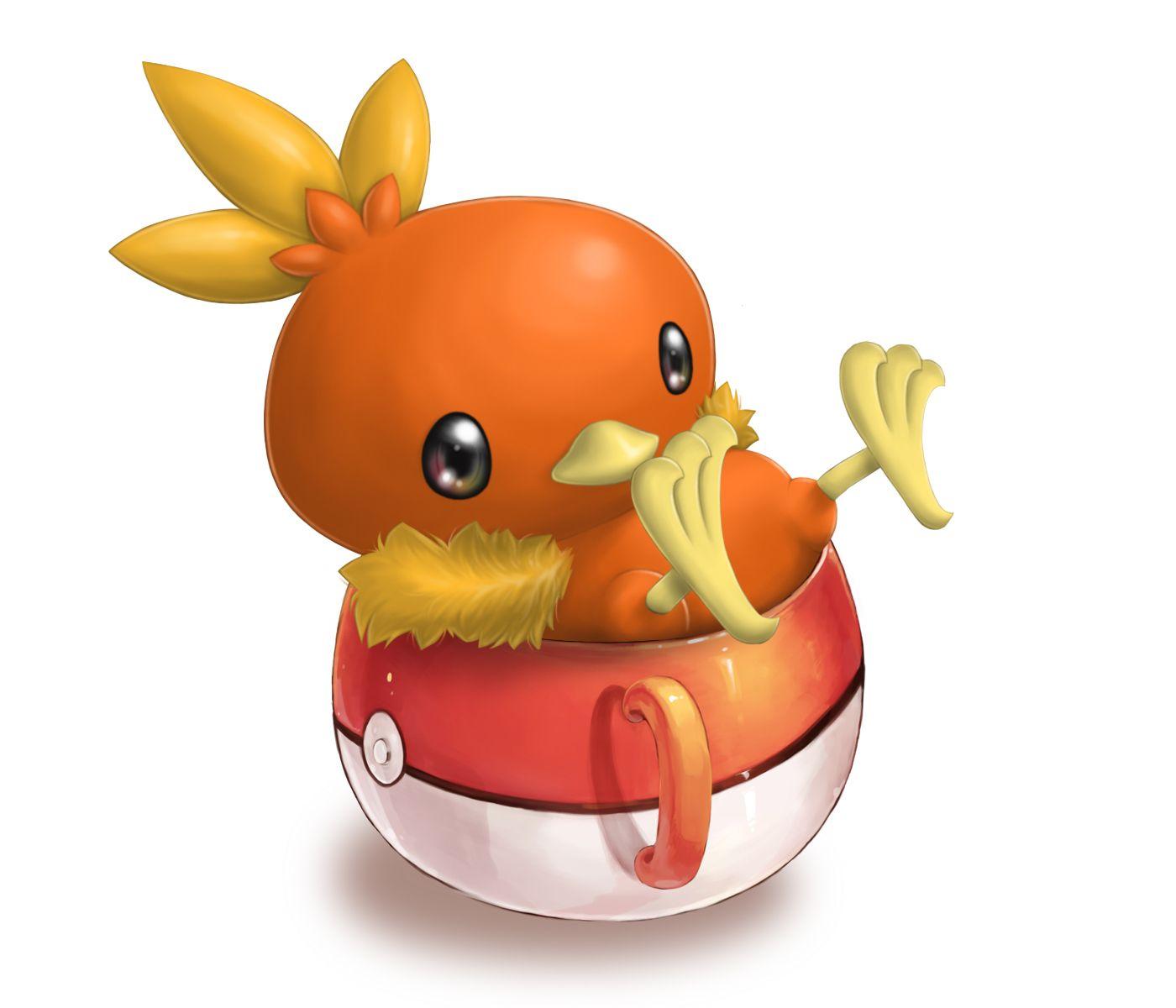 Torchic