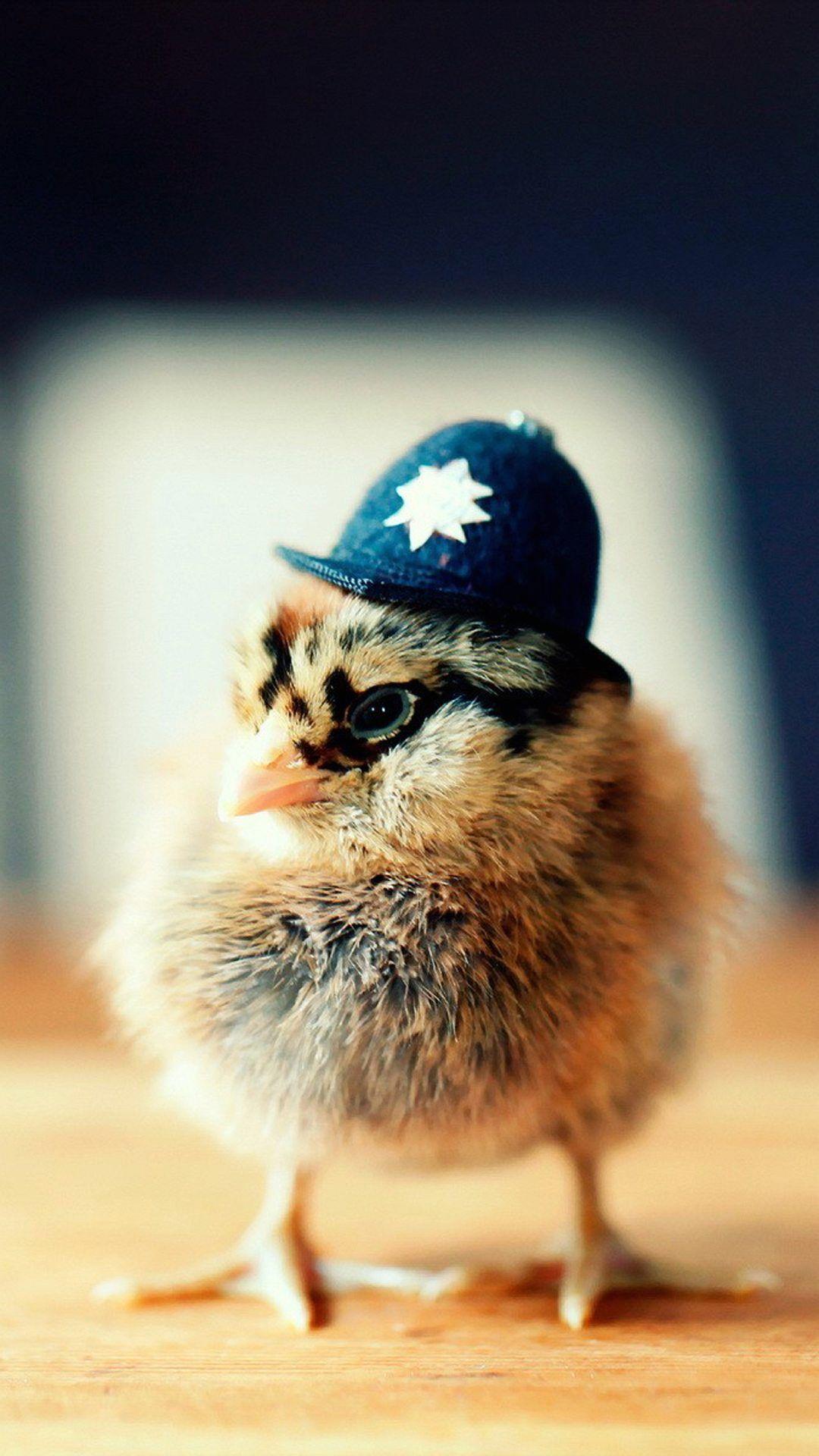 Police chick, so cute~. Cute Animals iPhone Wallpapers