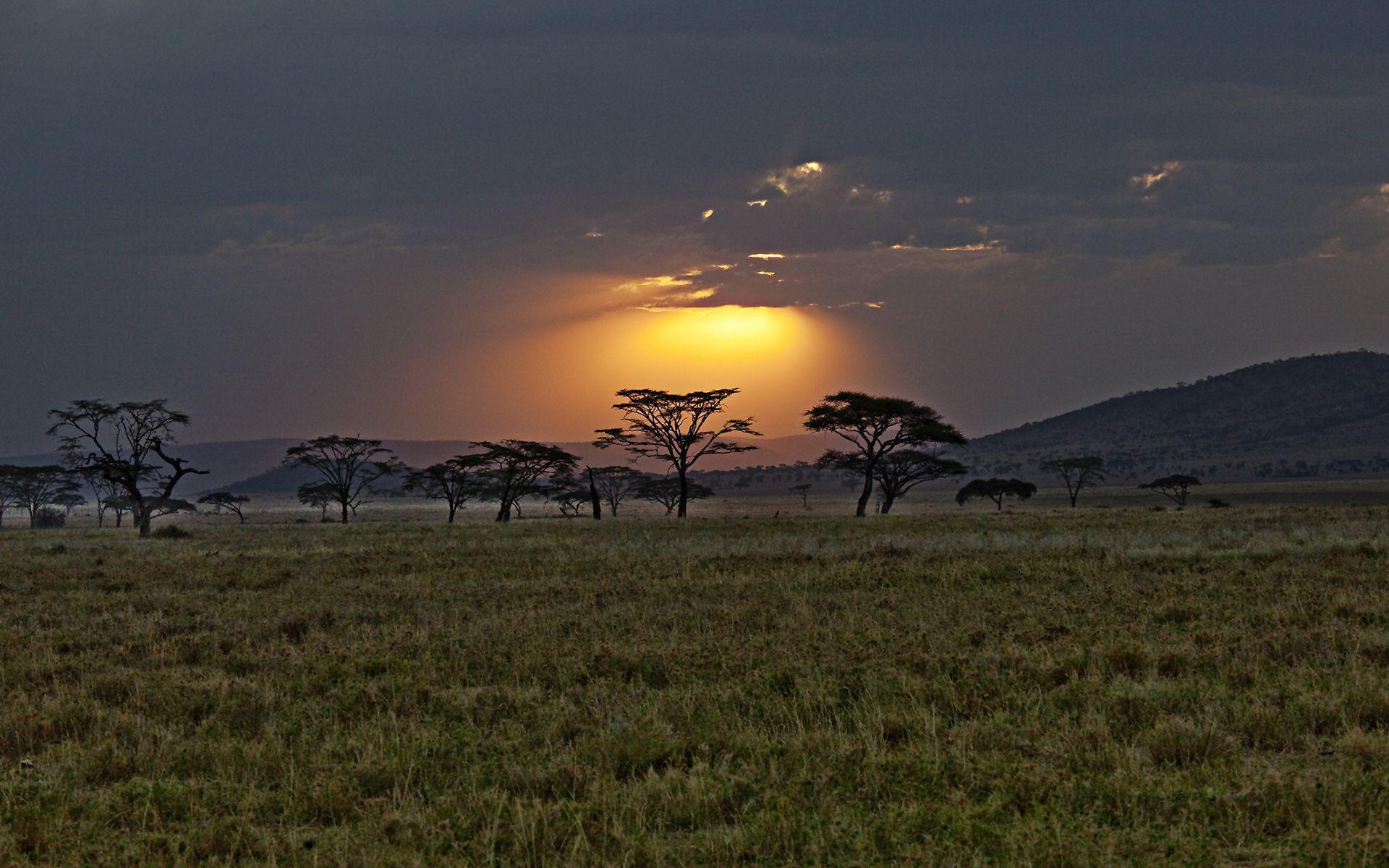 Sunset kenya africa Wallpapers