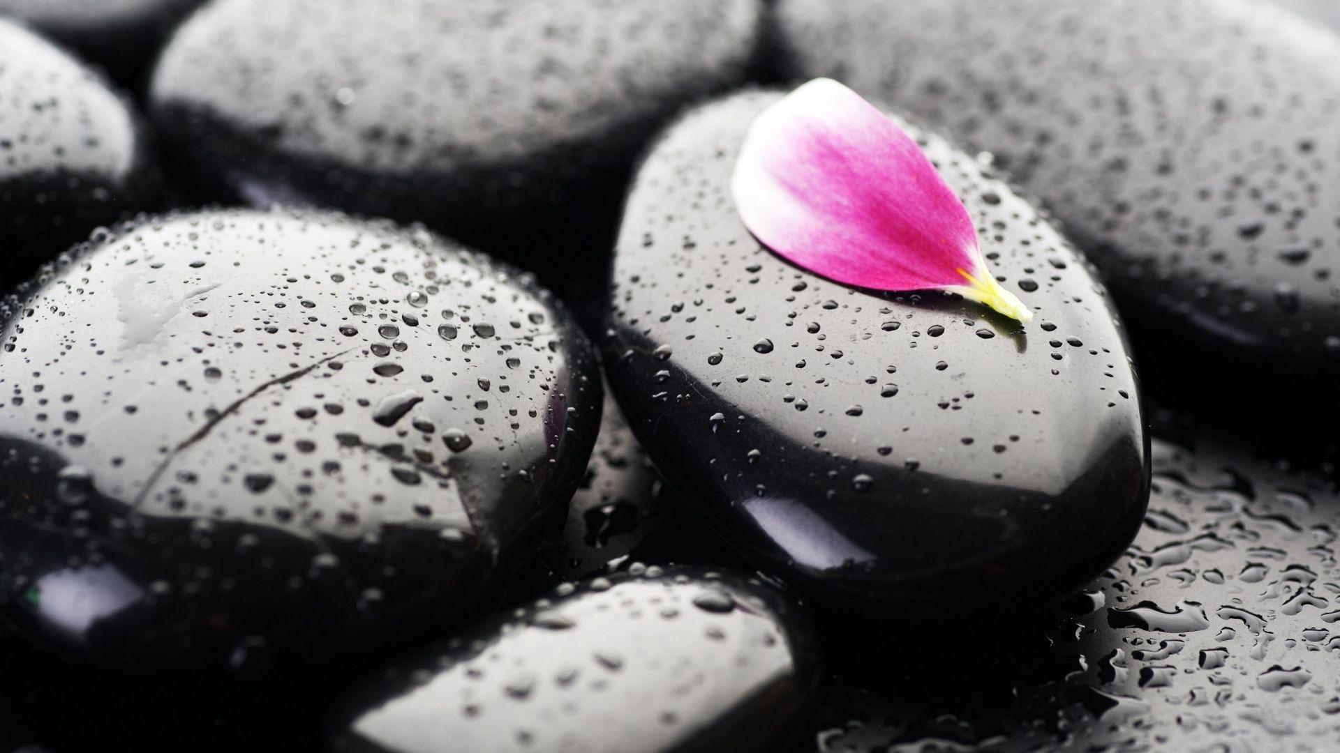 Full HD Wallpapers pebble drop water petal, Desktop Backgrounds HD 1080p