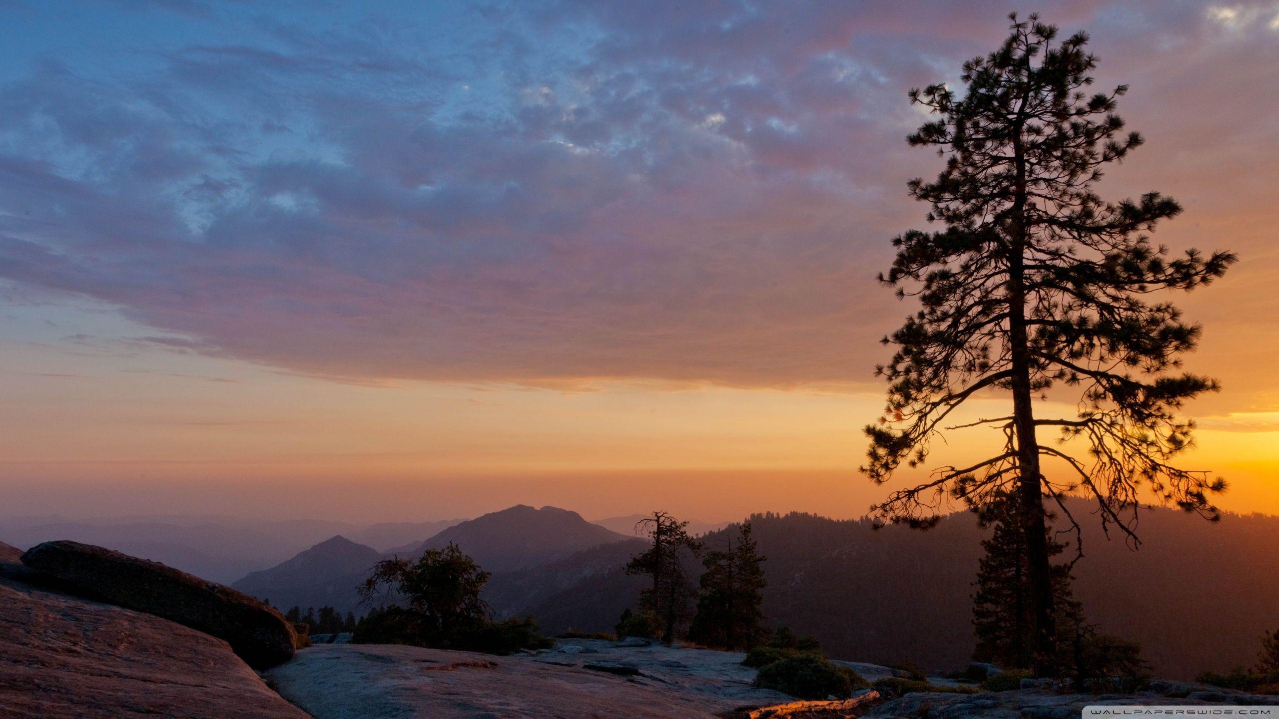 Beetle Rock, Sequoia National Park, California ❤ 4K HD Desktop