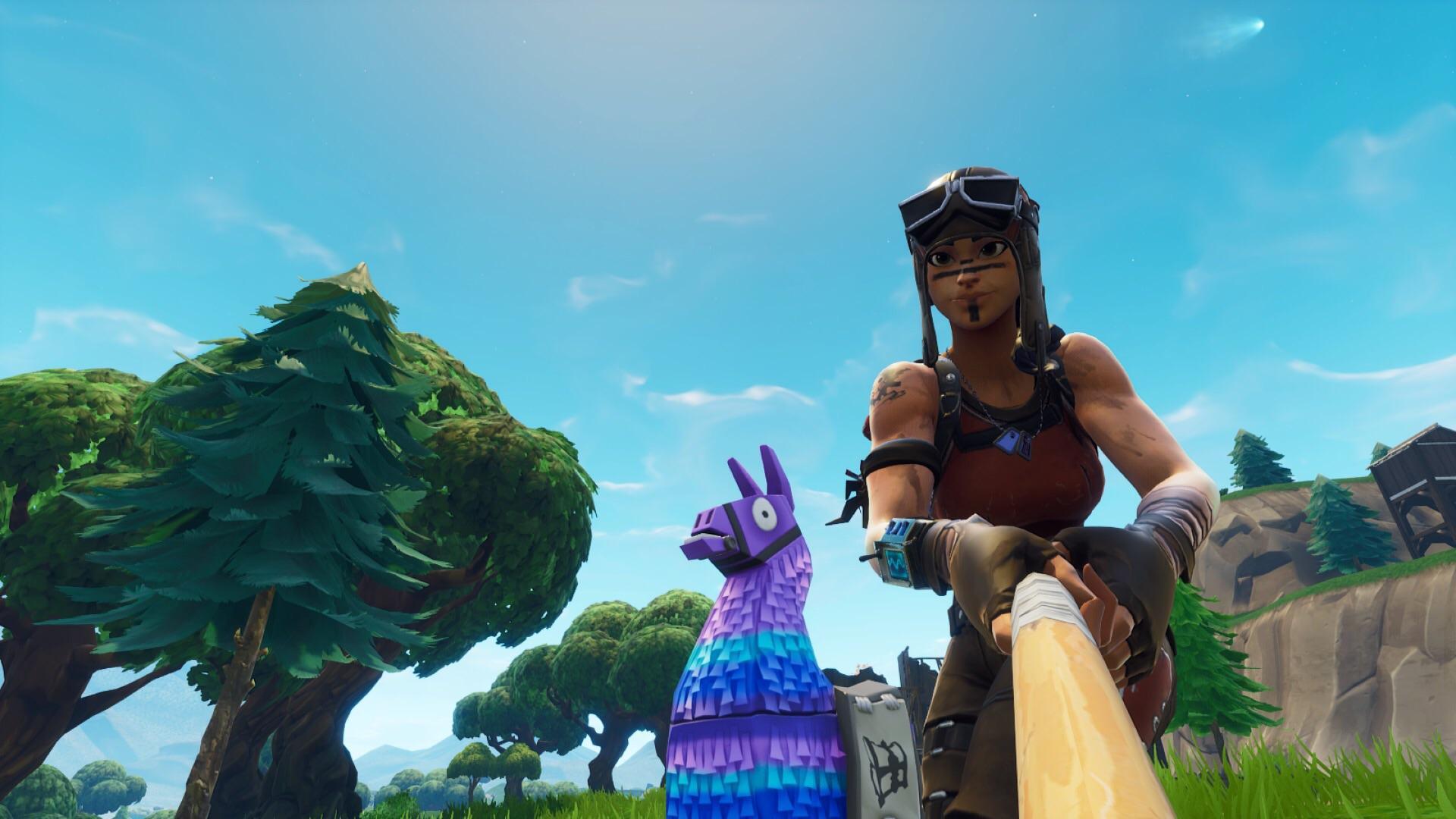 Took a selfie with a llama, ended up getting the comet too : FortNiteBR