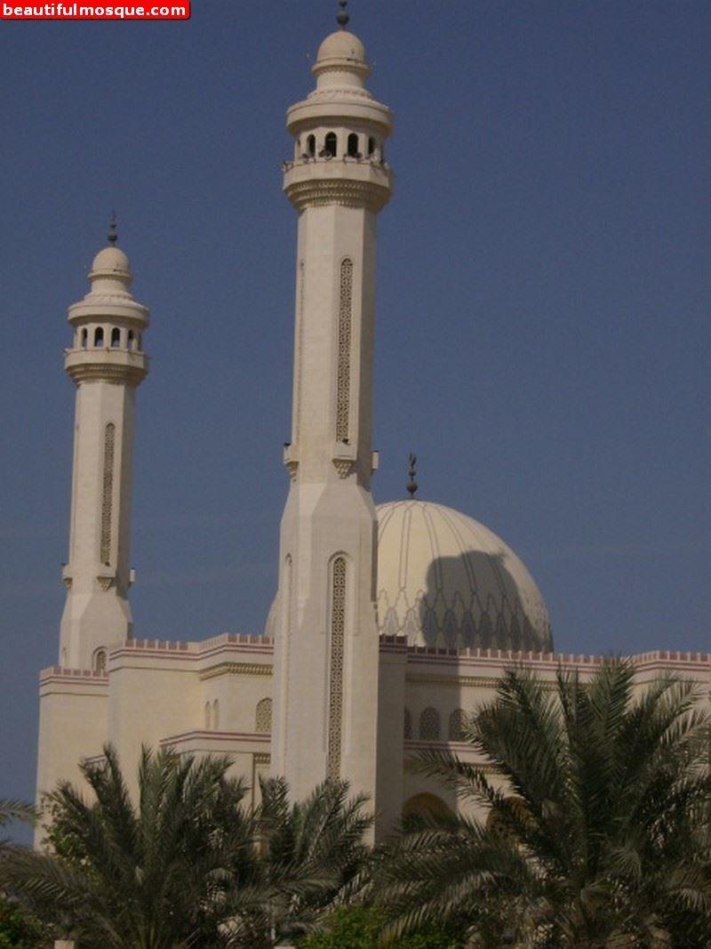 Beautiful Mosques Pictures