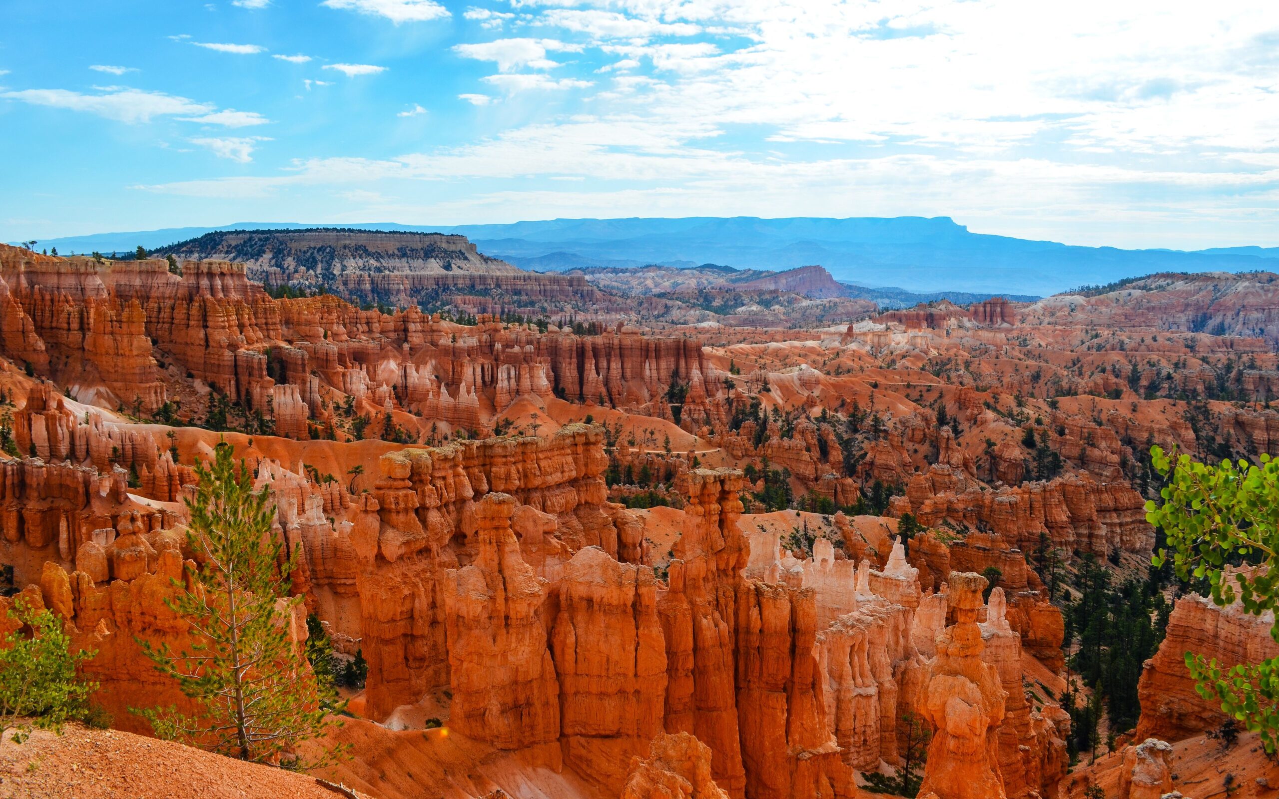 Bryce Canyon Vista wallpapers photographs by Terry Majamaki