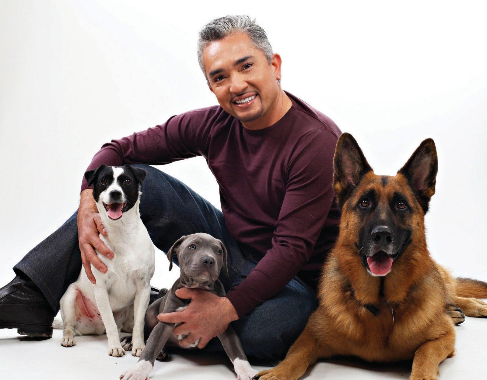 Cesar Millan is a genius