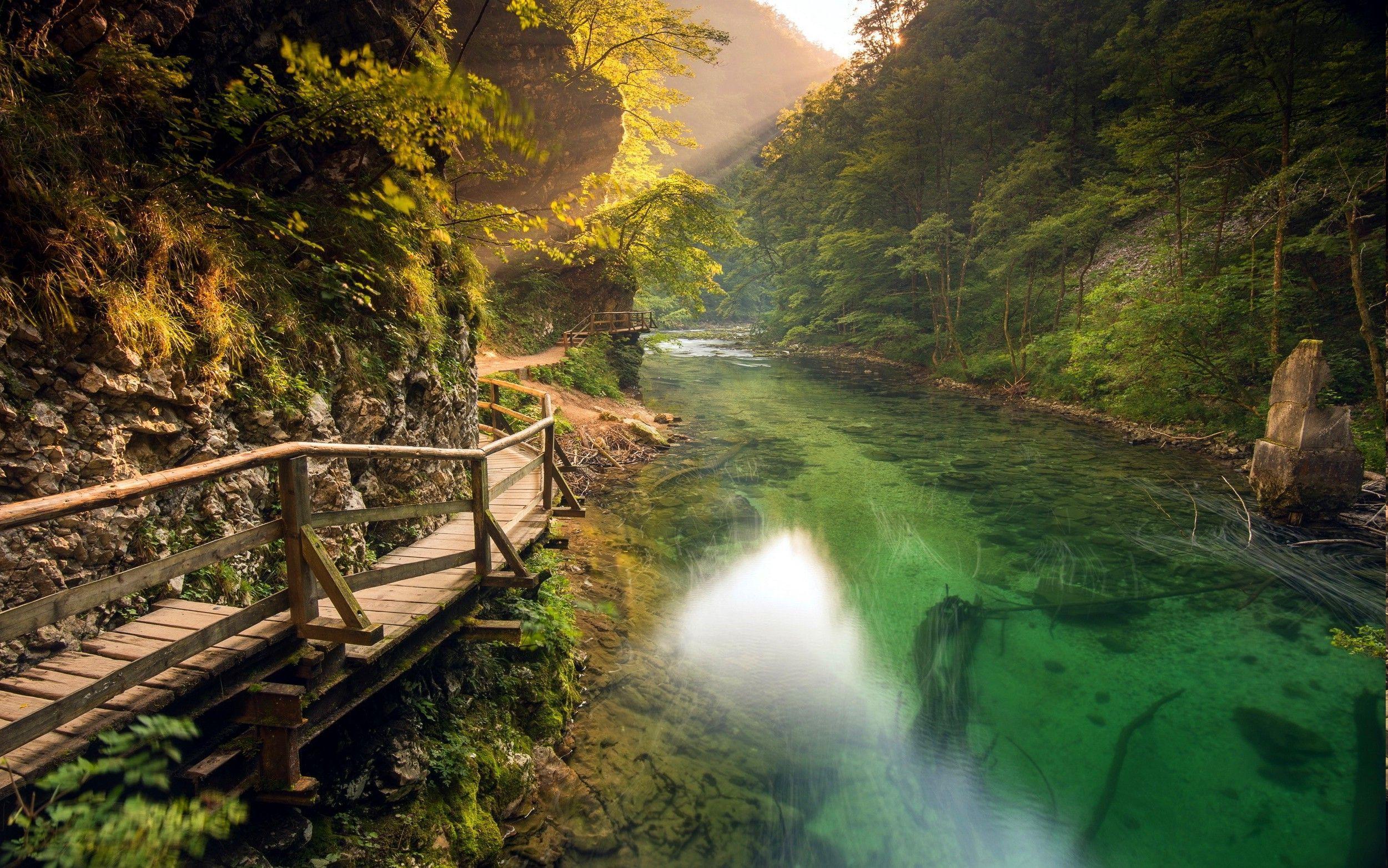 nature, Landscape, River, Walkway, Mountain, Path, Forest, Shrubs