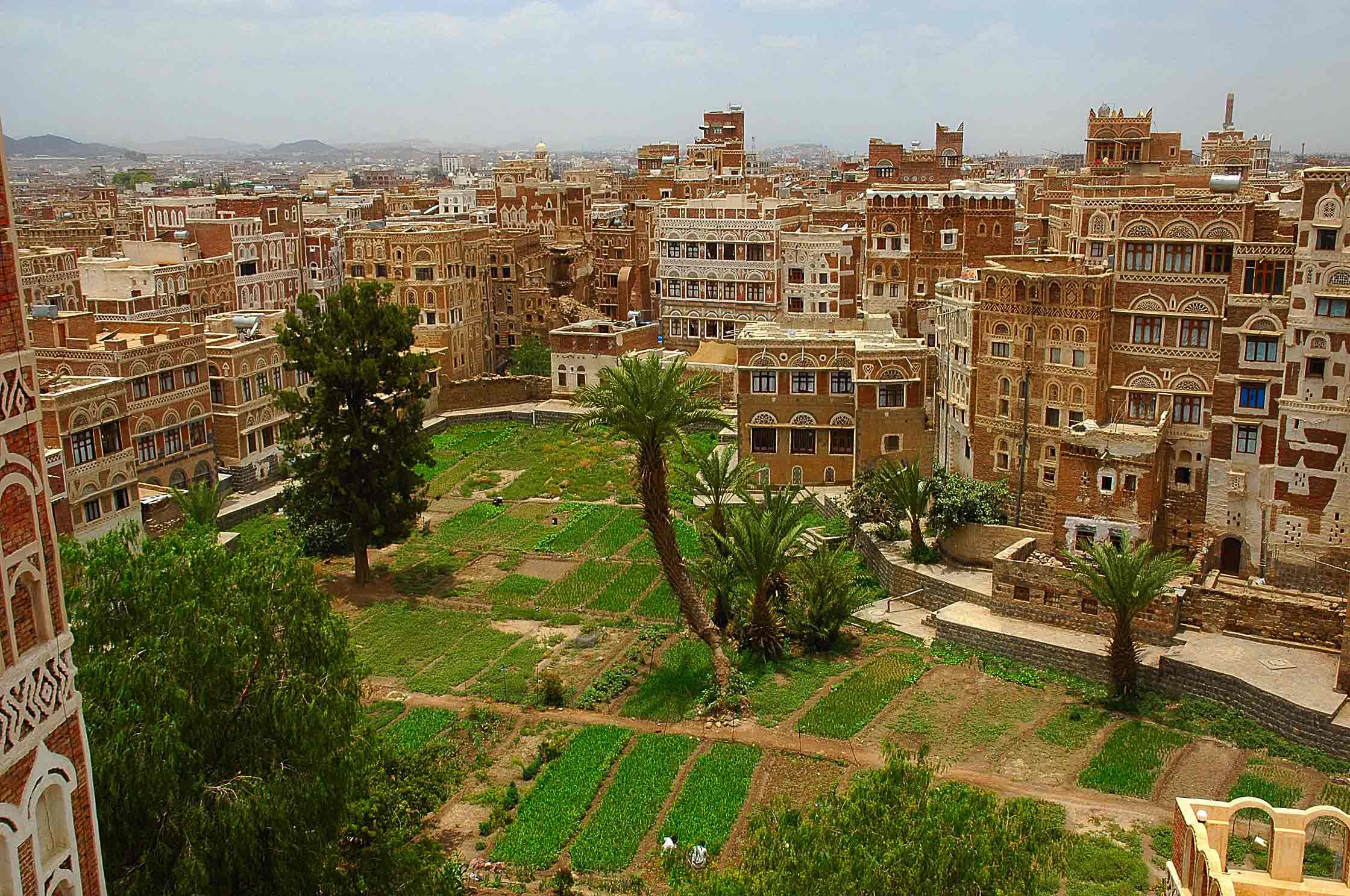 viajes yemen Travel photos