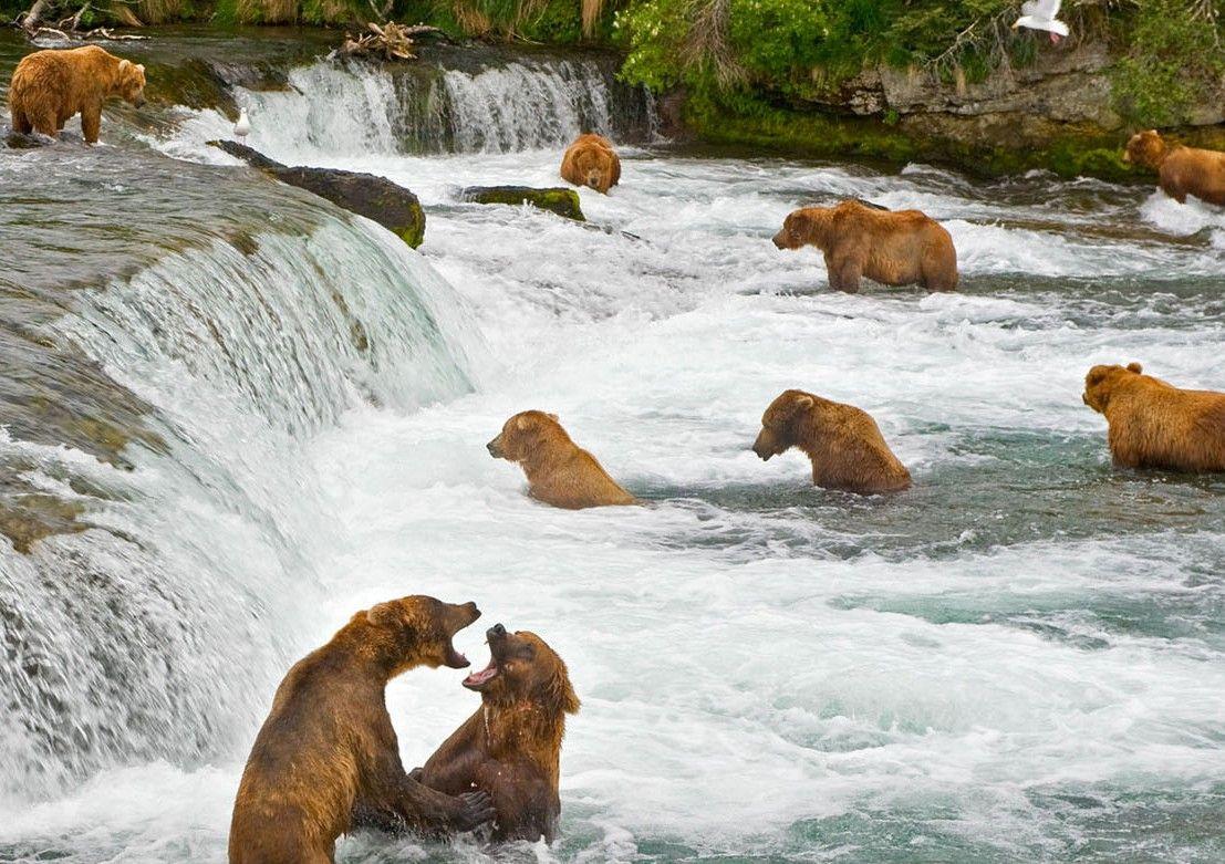 Most Breathtaking Photos of Katmai National Park In Alaska, USA