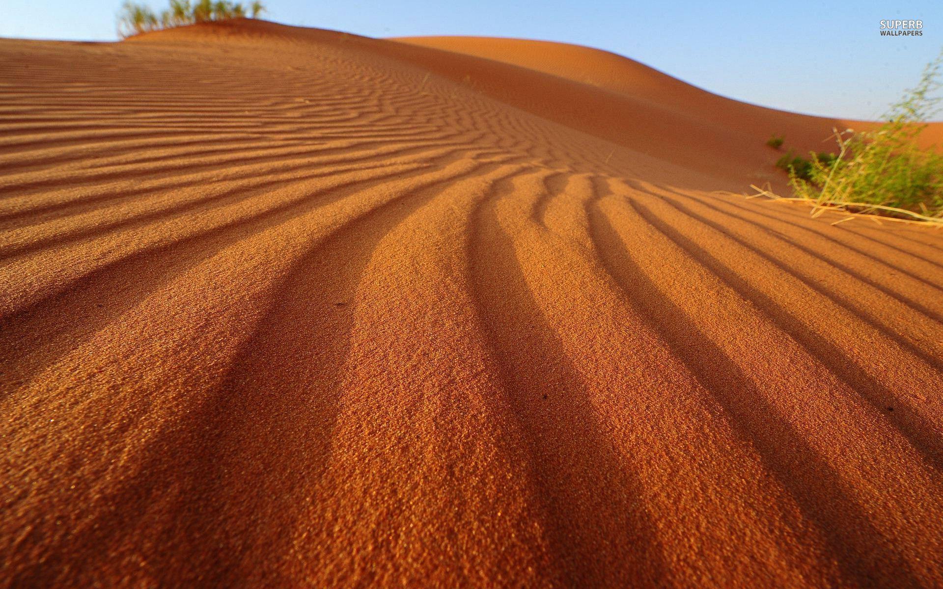 Sand dune wallpapers