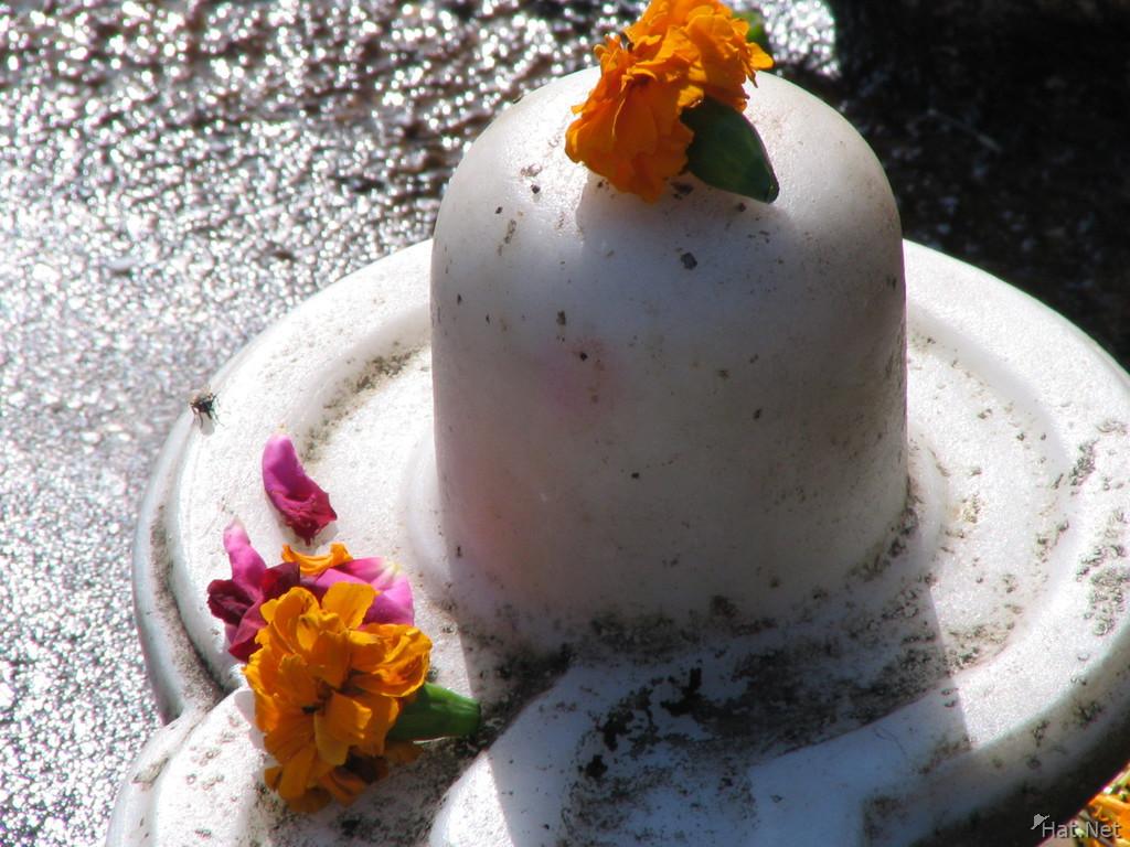 shiva lingam, highlights : 100 Thousand Photos