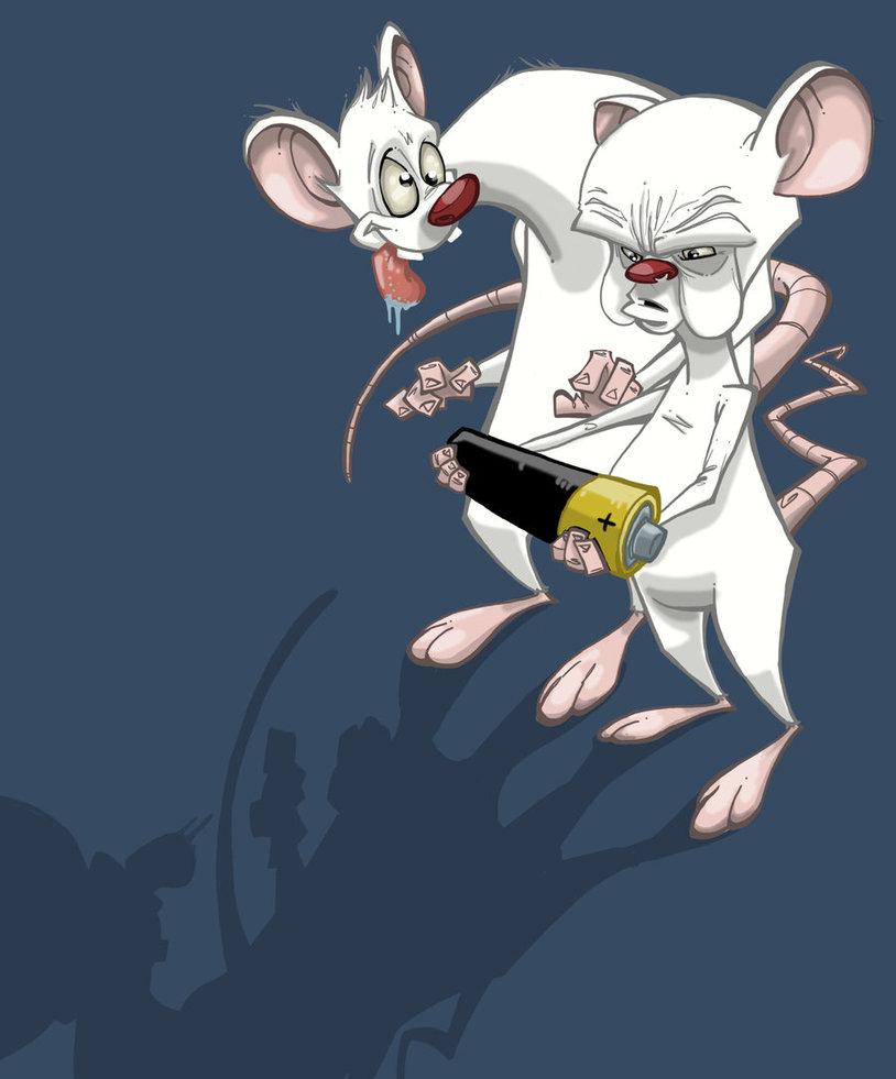 Pinky And The Brain Wallpapers 86607