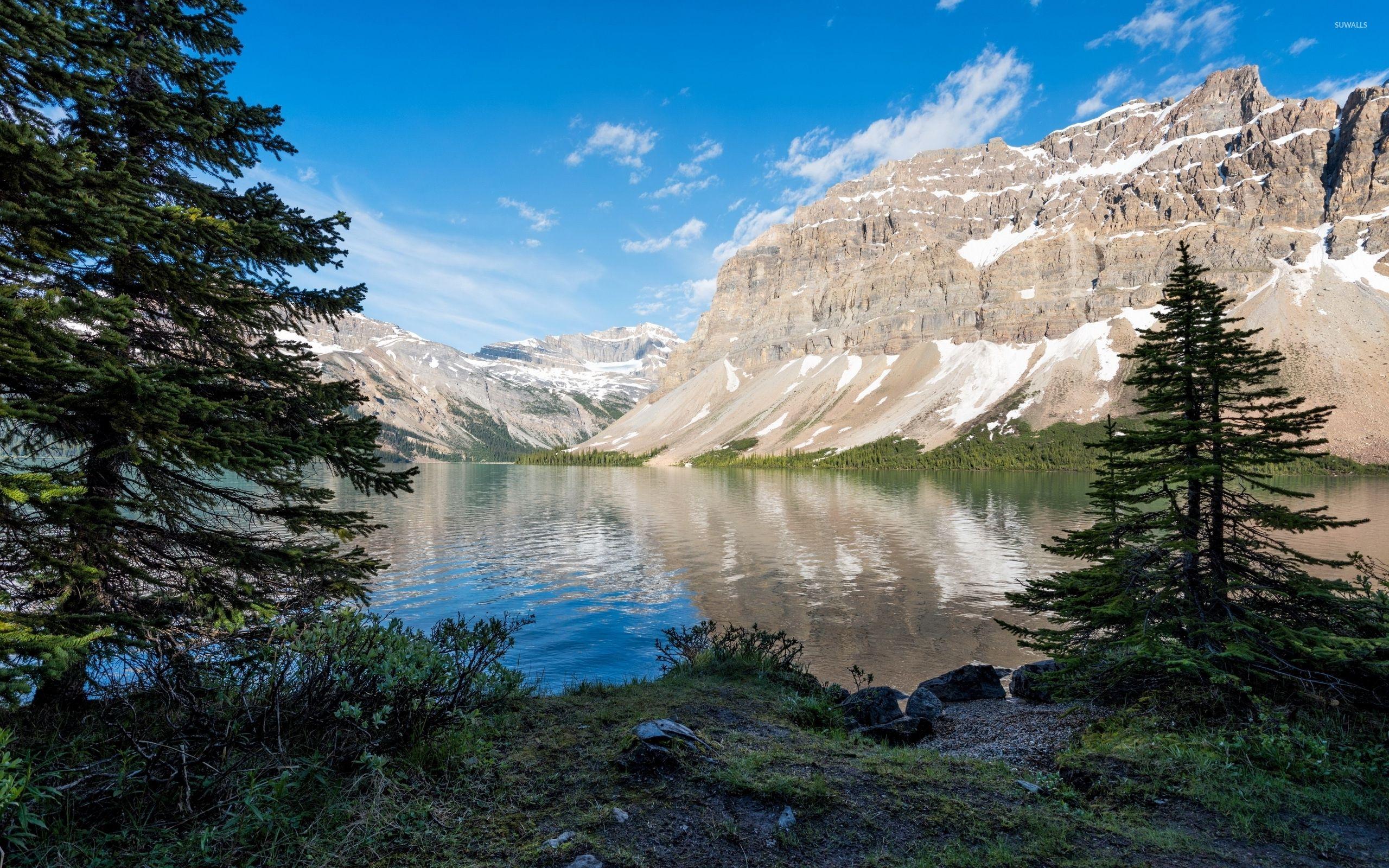 Green trees by the snowy peaks in Banff National Park wallpapers