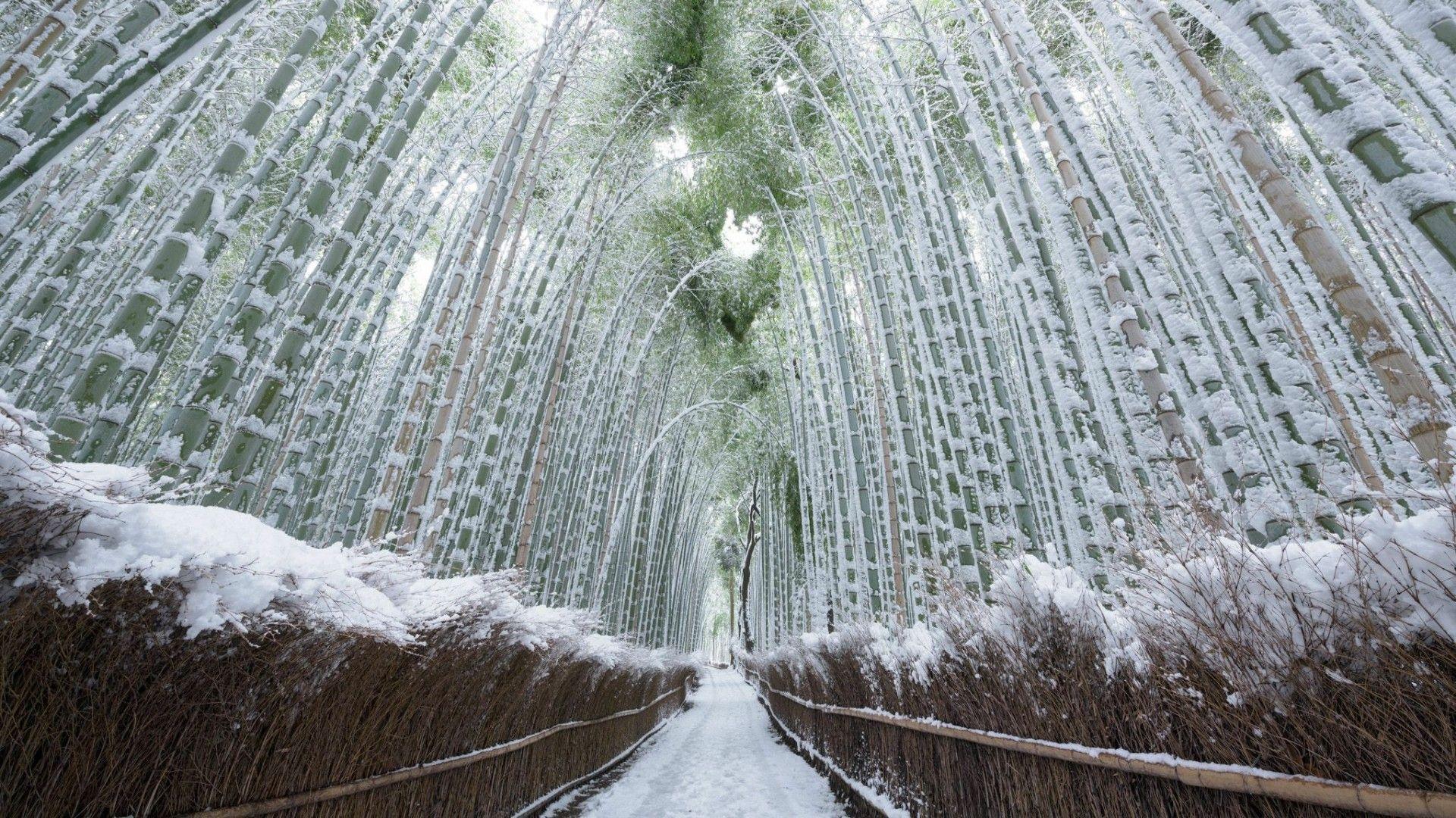 Arashiyama Wallpapers