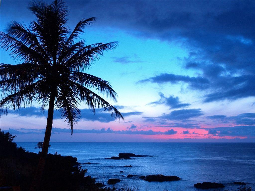 Tropical Sunset Backgrounds 10744 Hd Wallpapers in Beach n