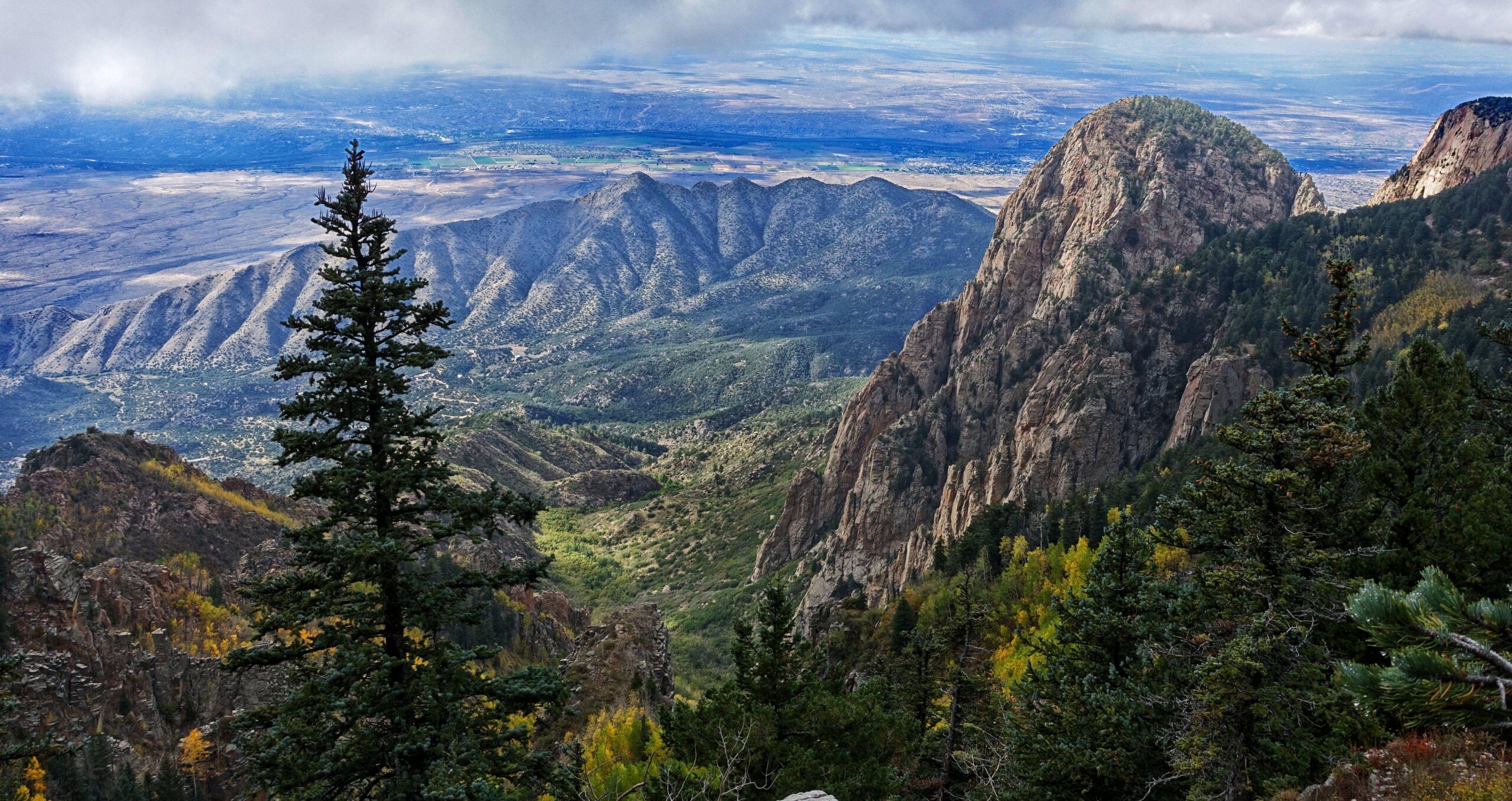 USA Scenery Mountains Fir Bernalillo New Mexico Nature wallpapers