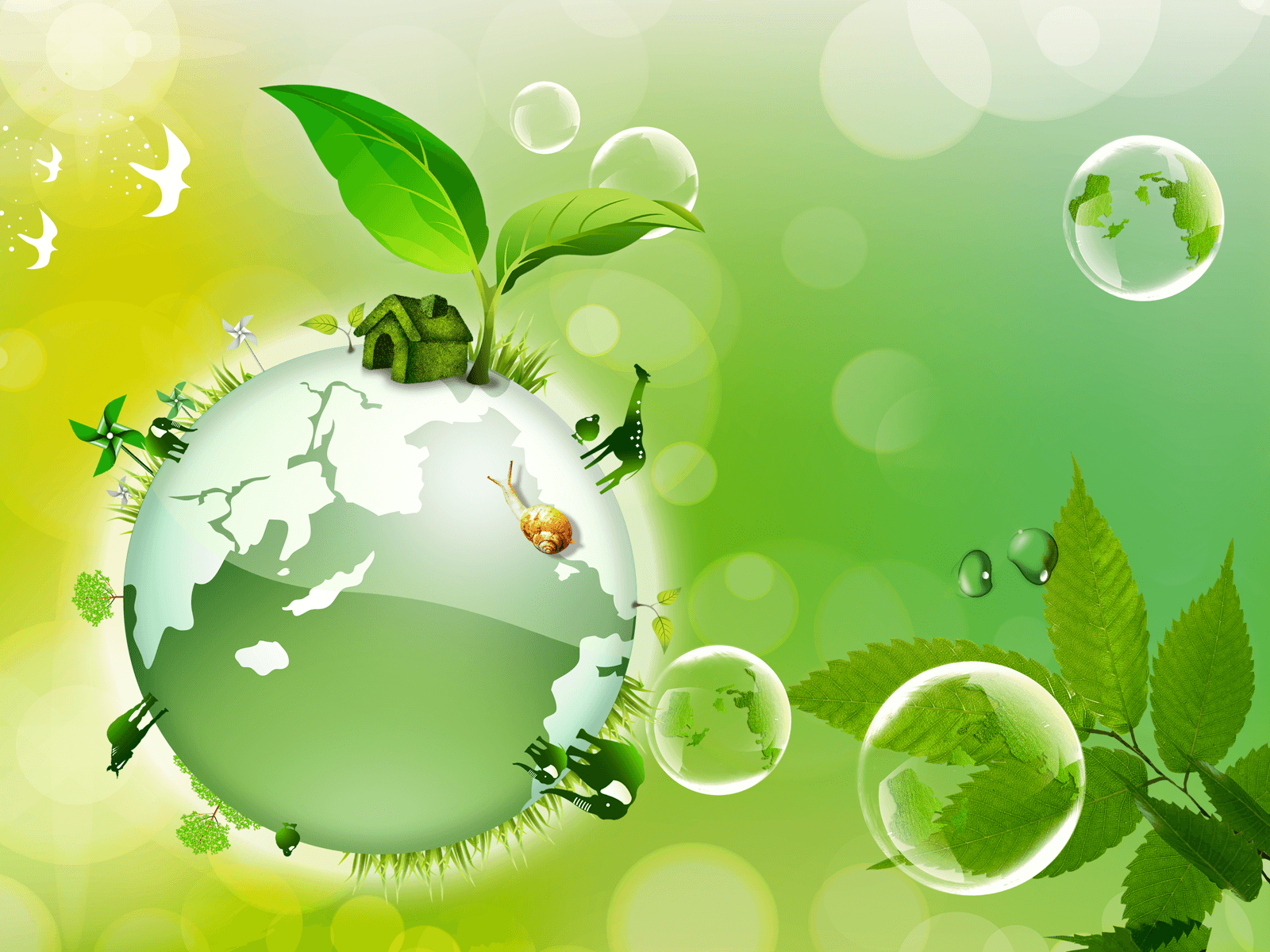 Hot,Spicy & Stuuning HD Wallpapers: Earth Day Wallpapers