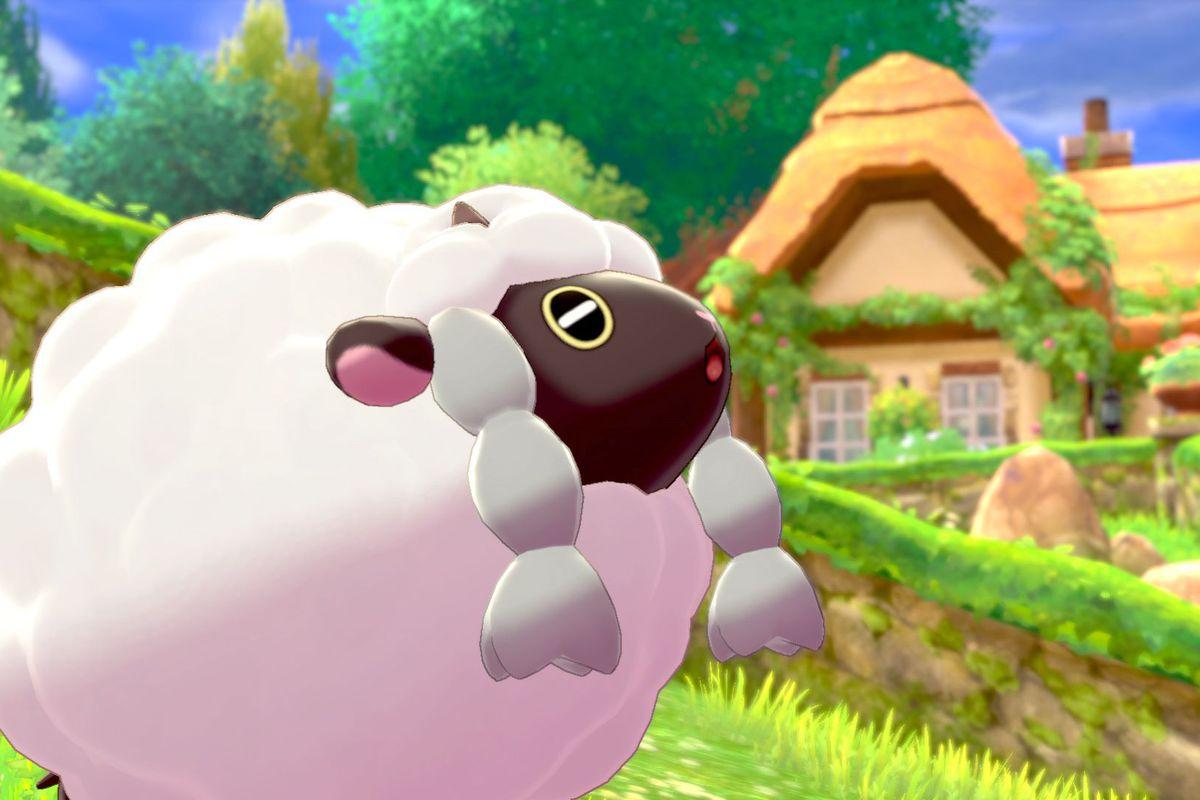 Pokémon Sword and Shield’s Wooloo is the best of the 8th