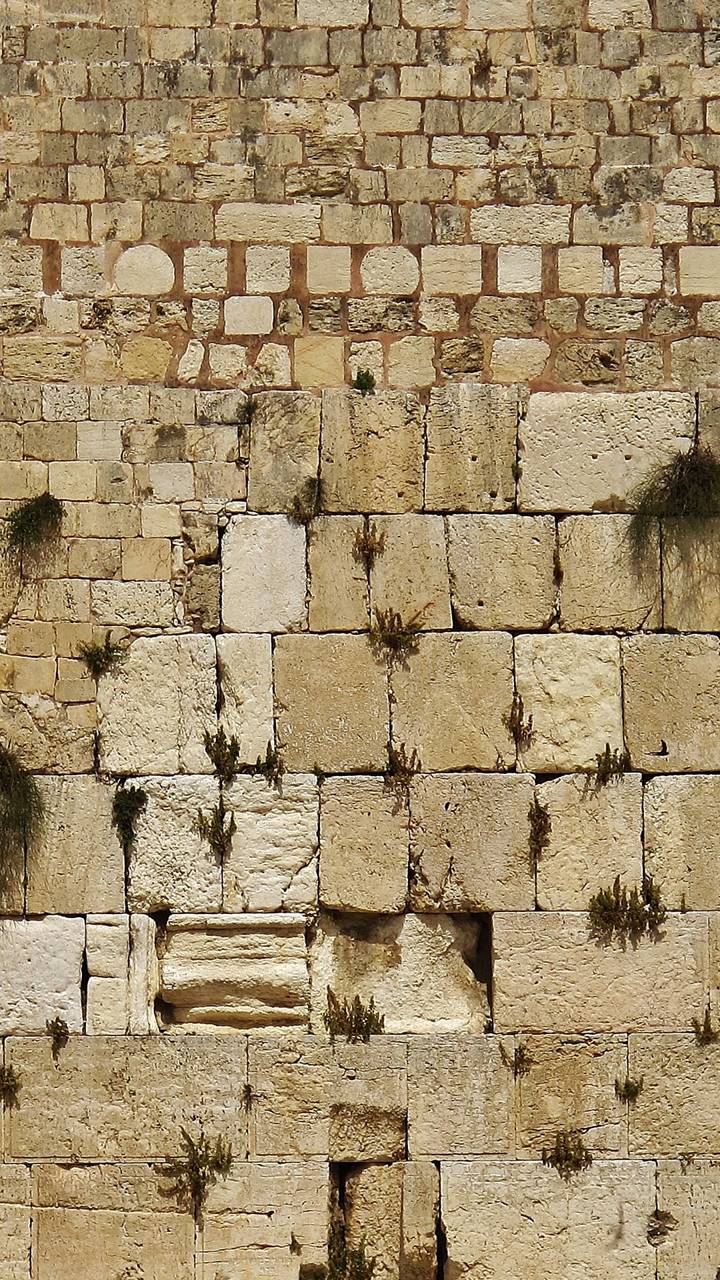 Wailing Wall Wallpapers by Ronald090