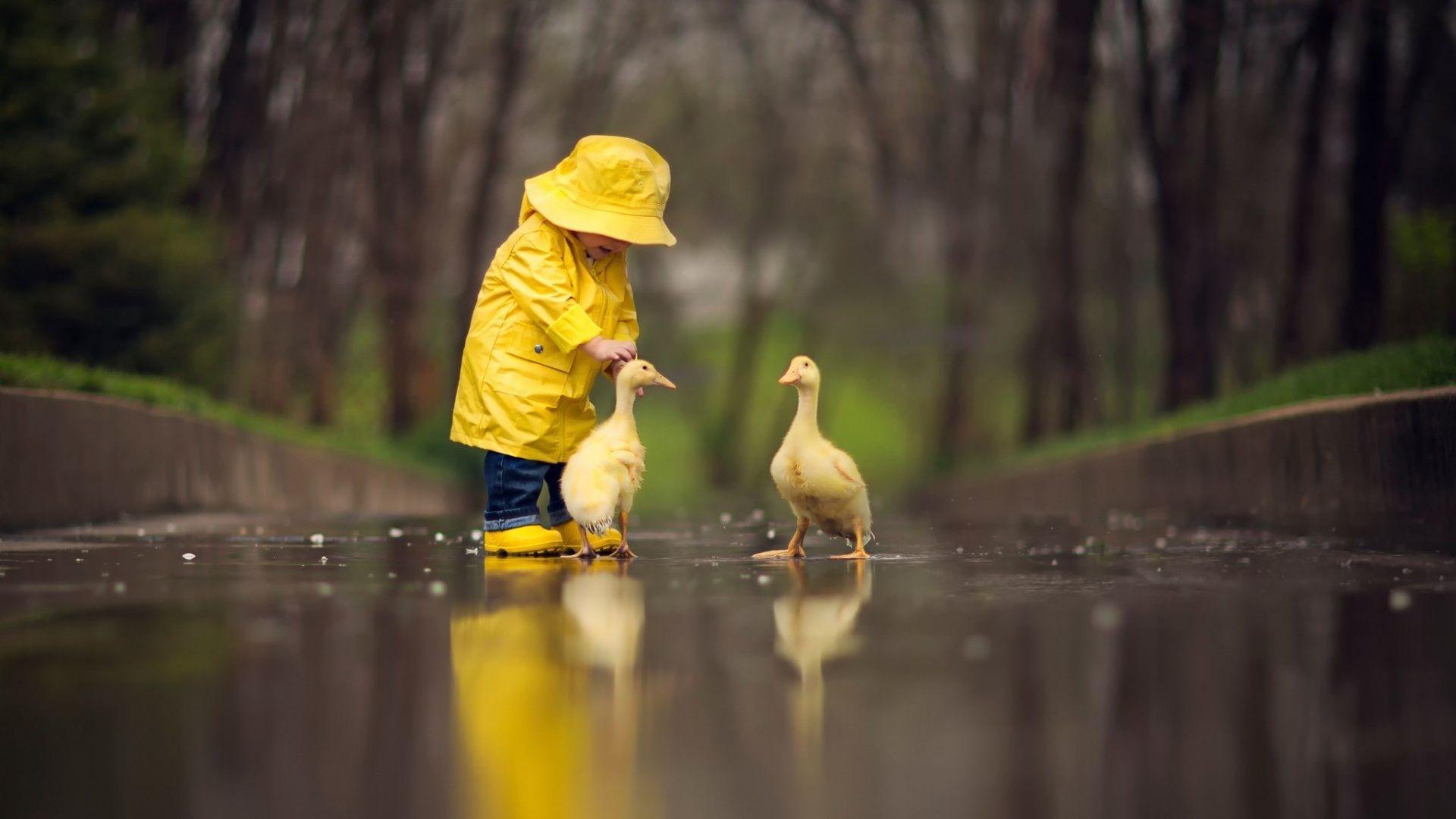 Rubber duck wallpapers Rubber Duck Project Pinterest