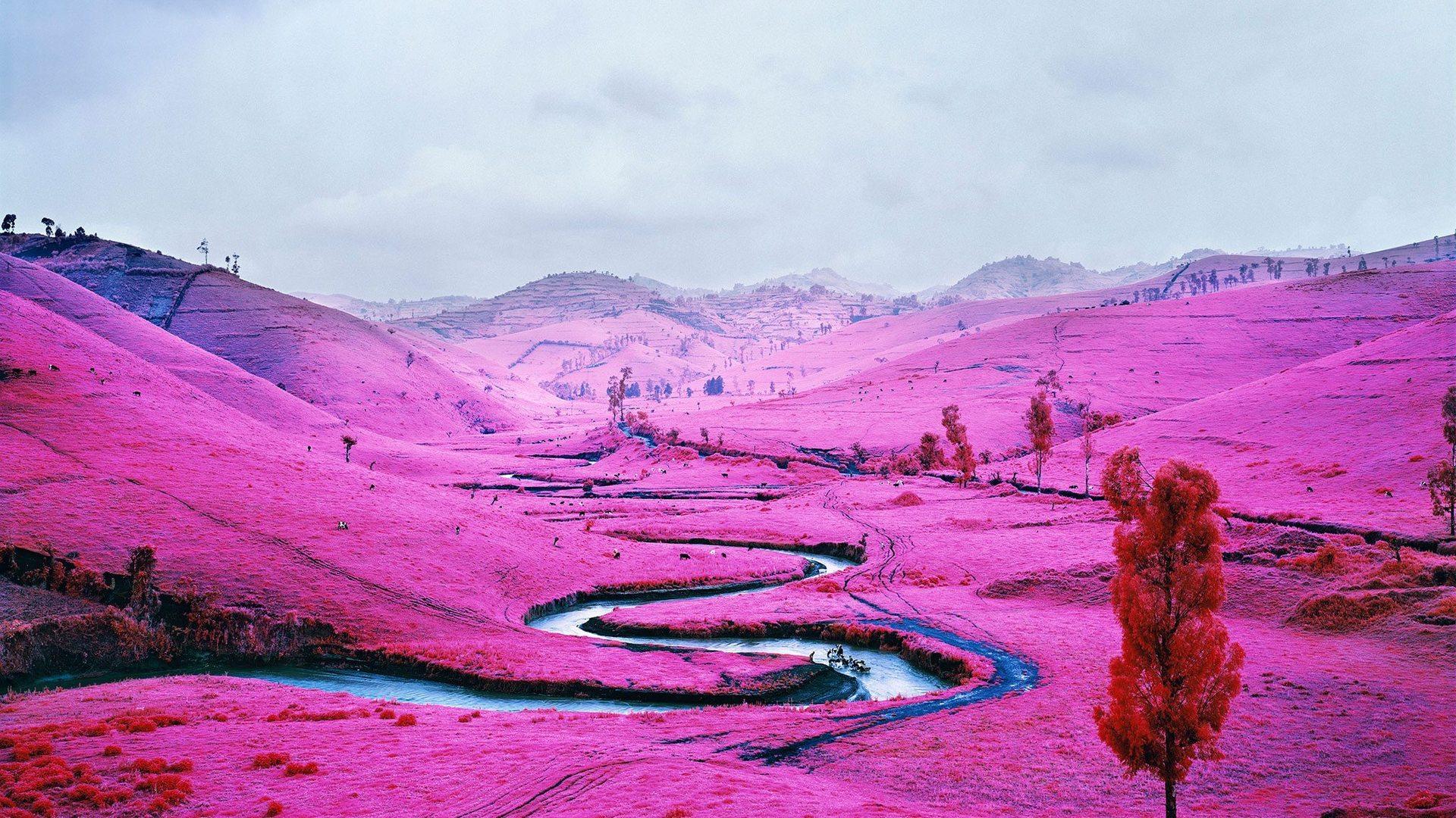 Pink Field Democratic Republic Of The Congo Laptop Full HD