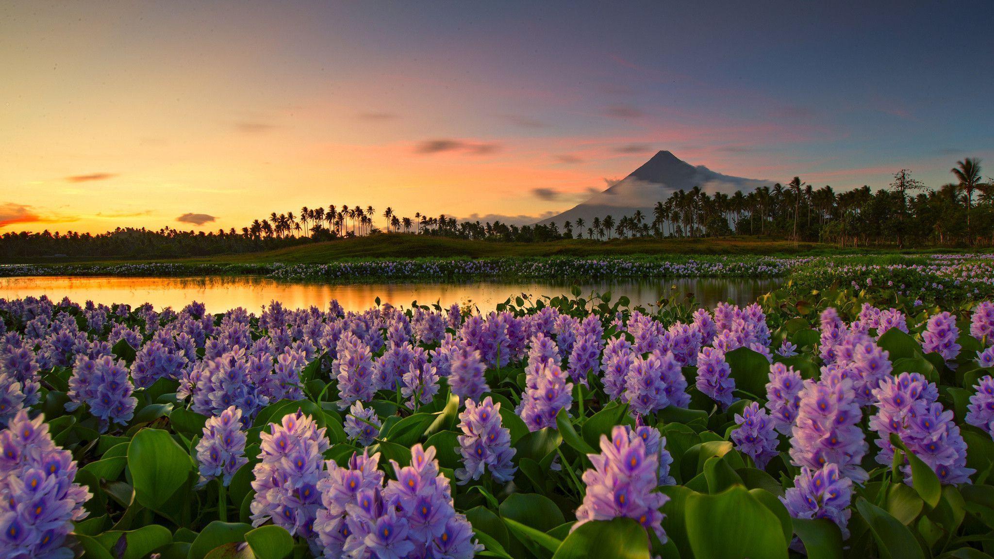 Mayon Volcano at distance, Philippines : wallpapers