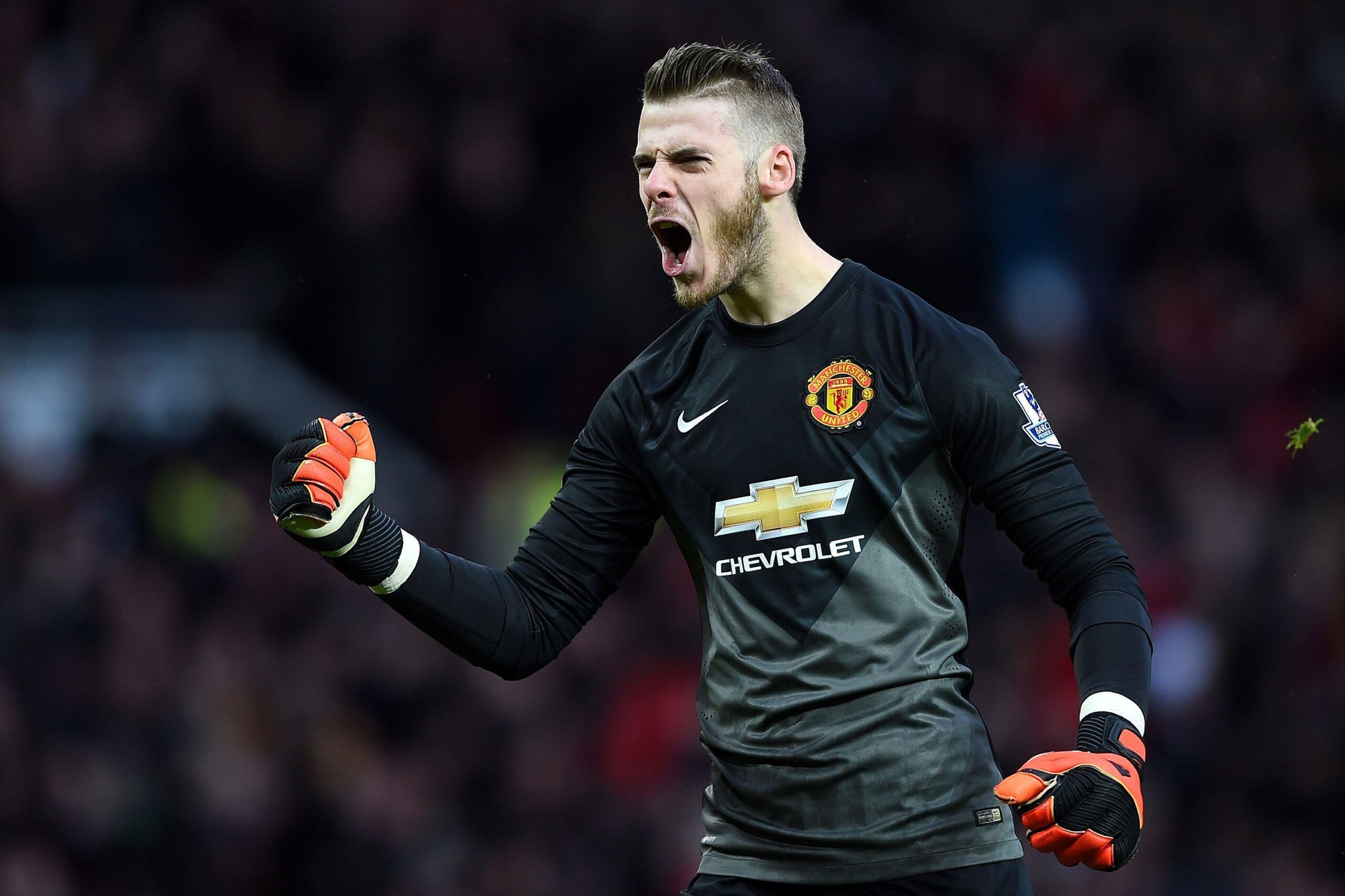 David de Gea Manchester United wallpapers