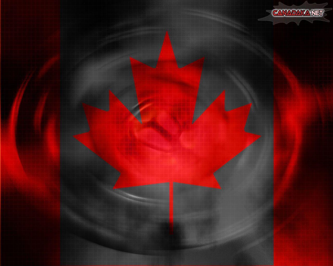 HD wallpapers Canada Flag Leaves Rocks HD Wallpapers flag, canada