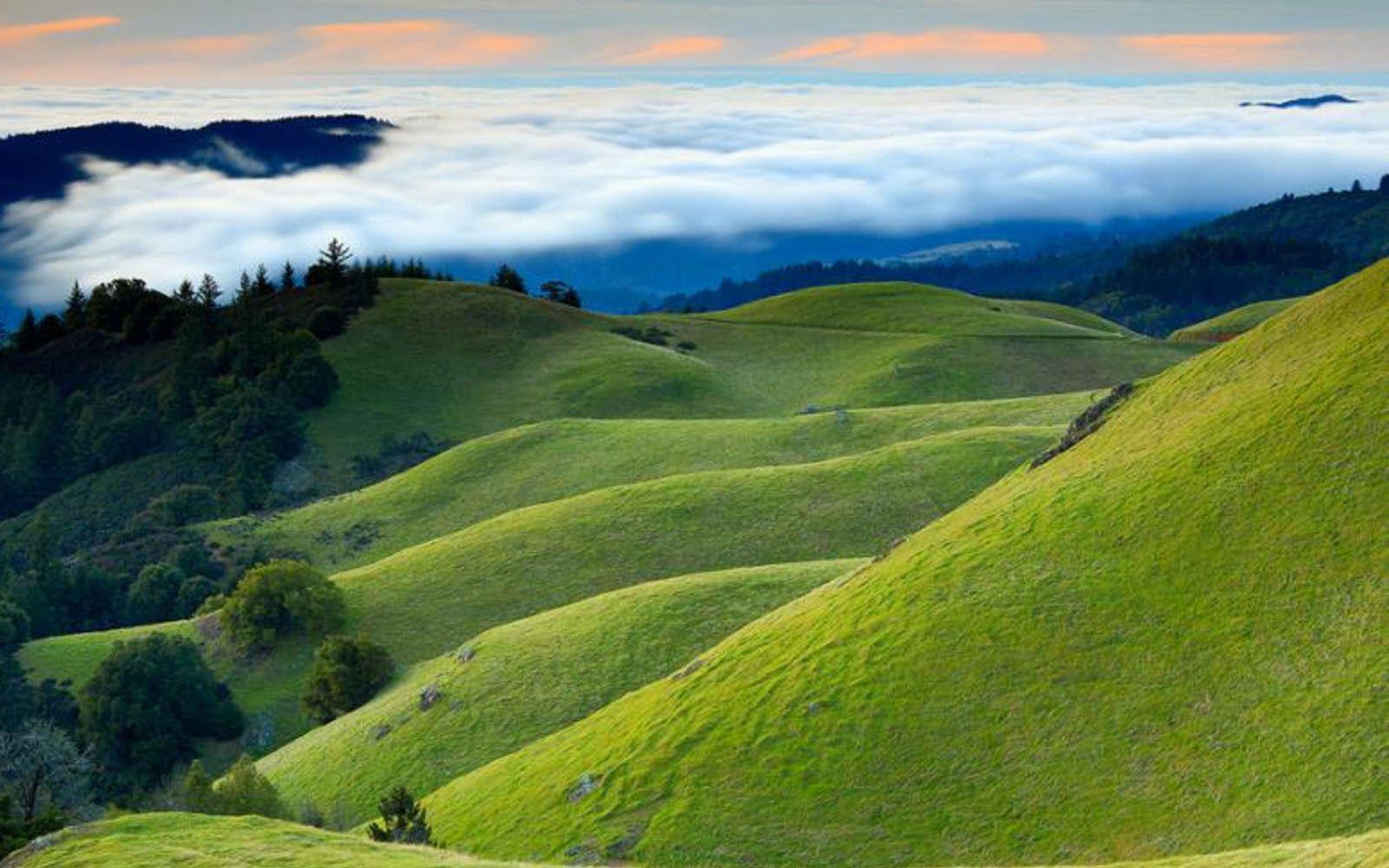 Grassy Hills Wallpapers