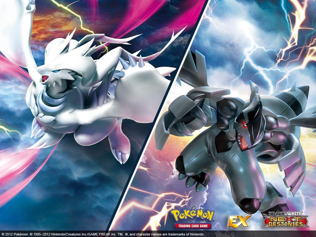 px Pokemon Black And White Wallpapers