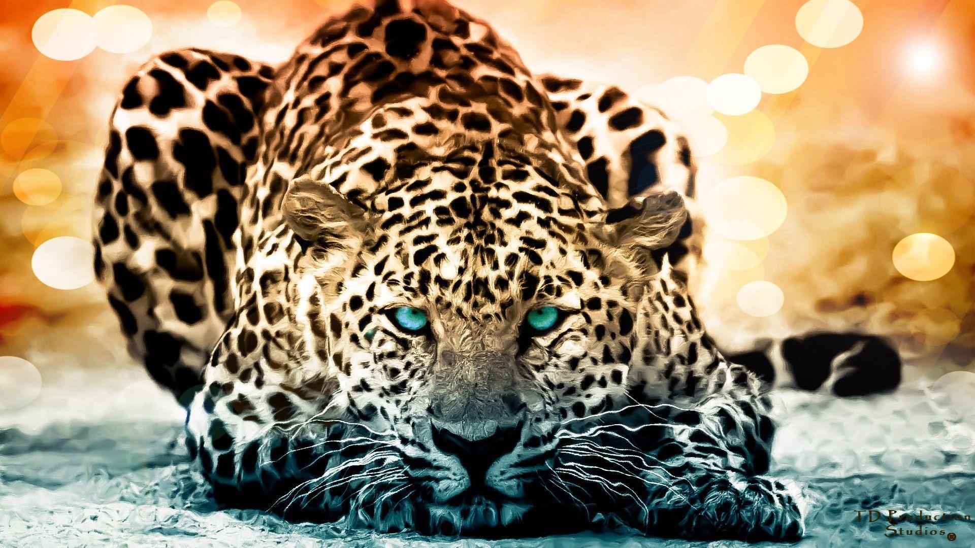 188 Jaguar HD Wallpapers