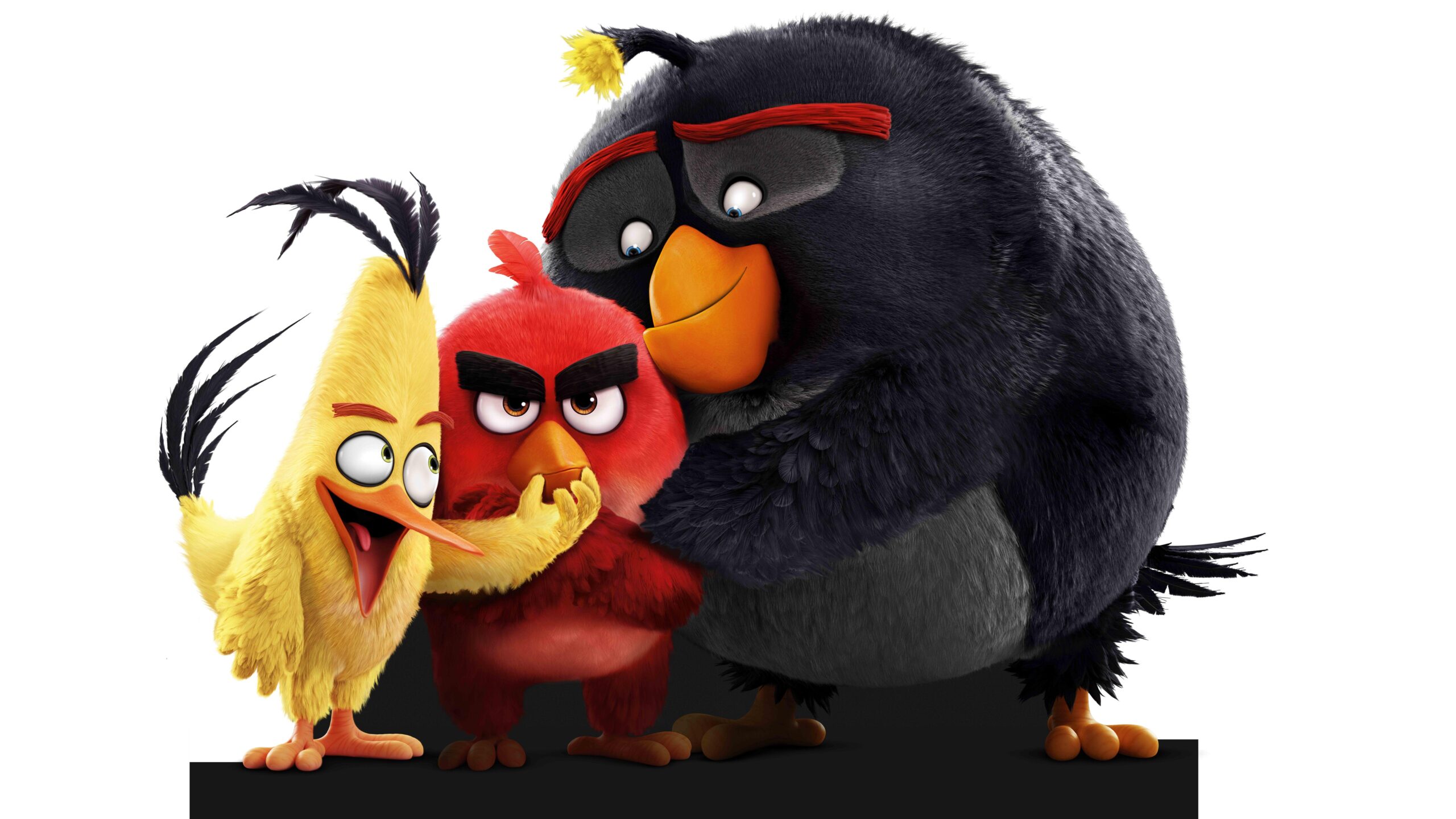 Wallpapers Chuck, Red, Bomb, Angry Birds, 4K, Movies,