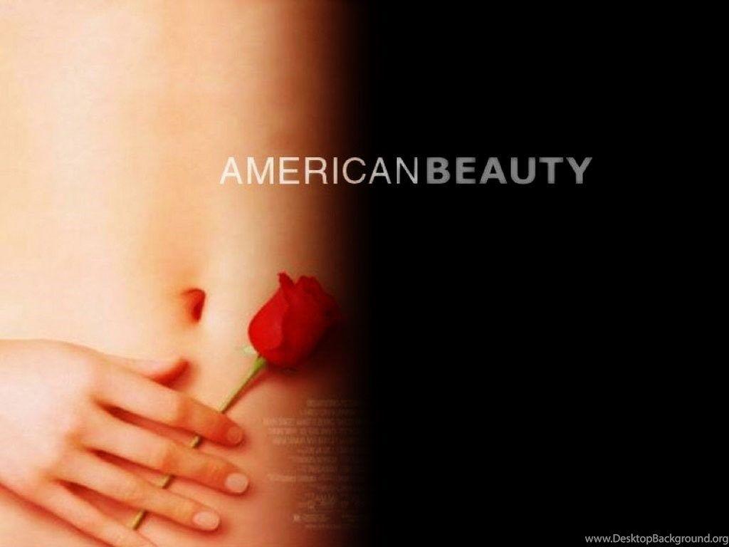 American Beauty Wallpapers Wallpapers