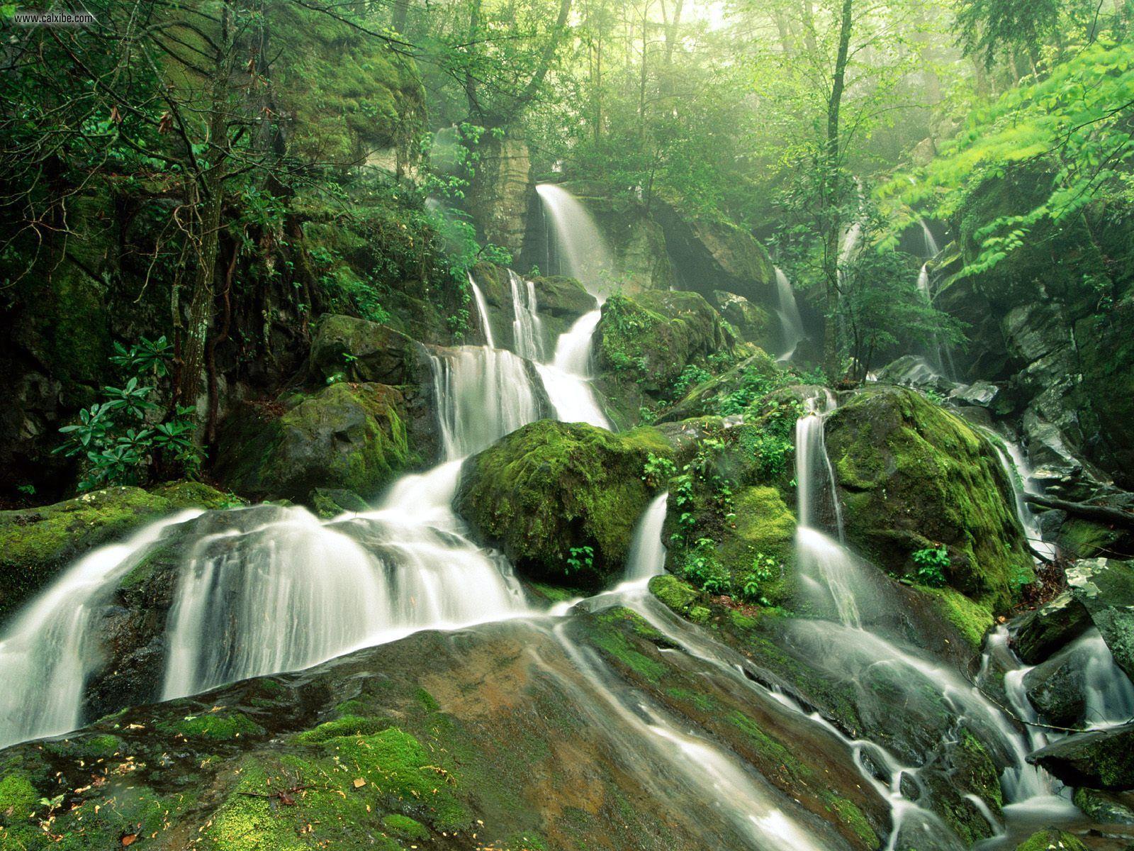 View Cliff Branch Falls Great Smoky Mountains National Park