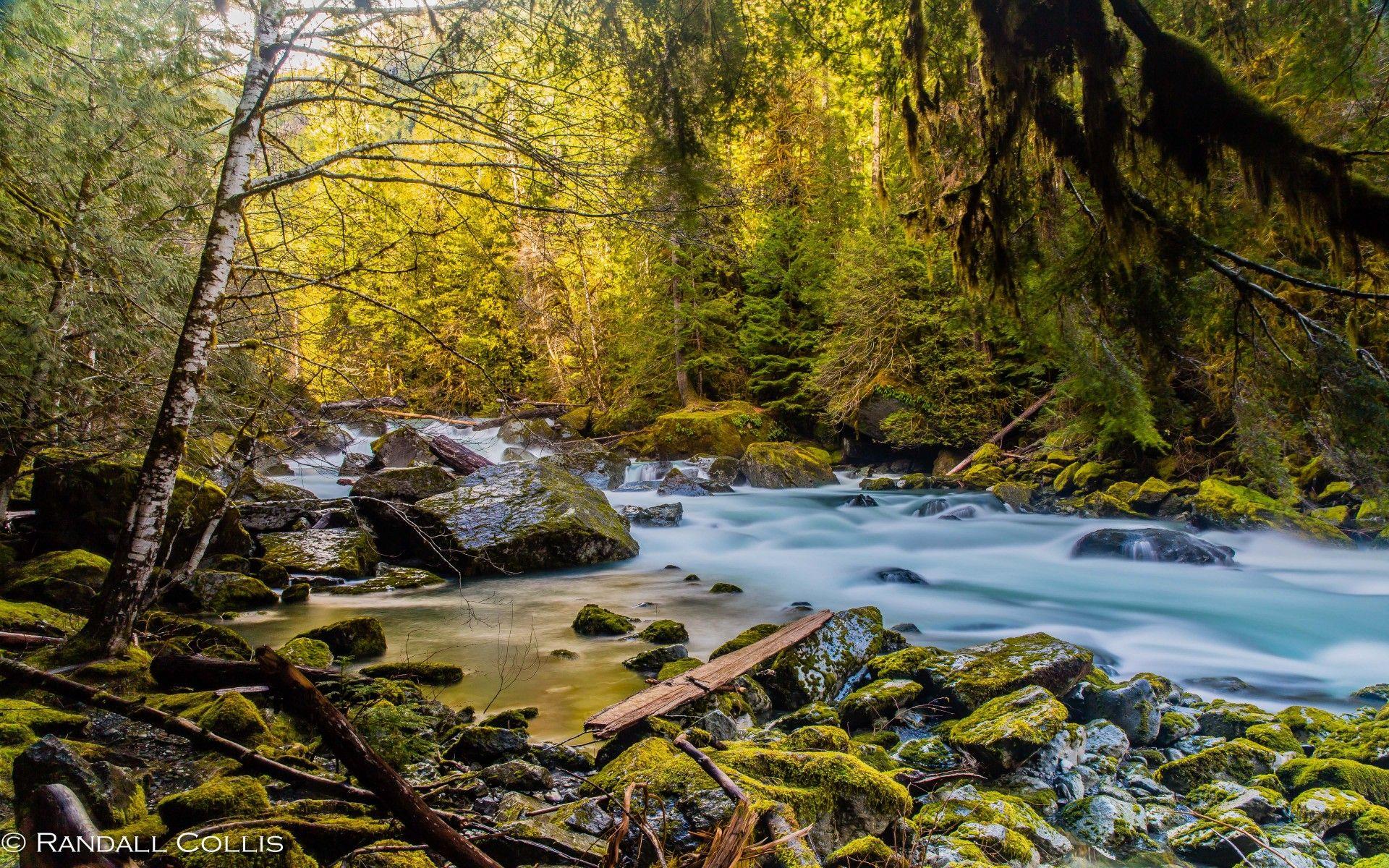 Mountain River North Fork Skokomish River Olympic National Park