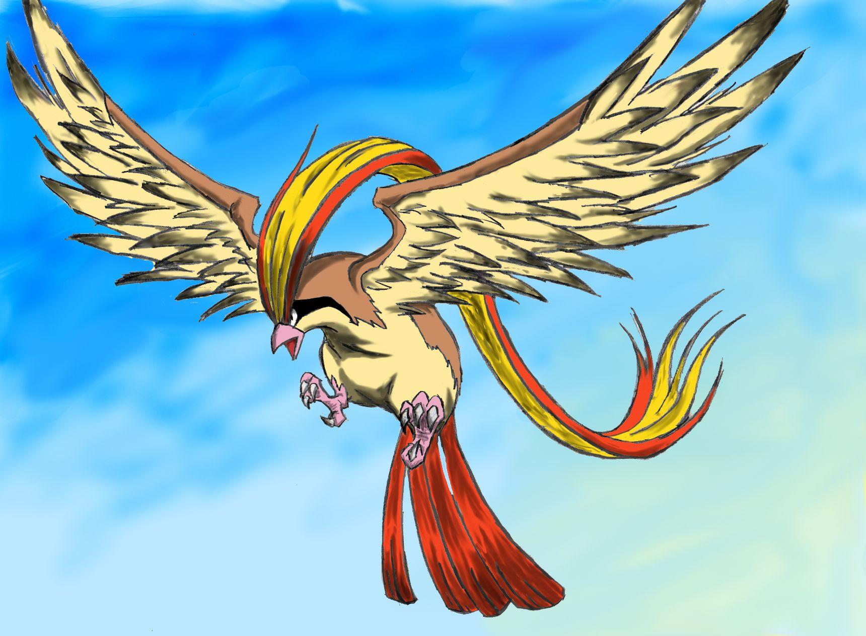 Pidgeot Wallpapers Always Lo