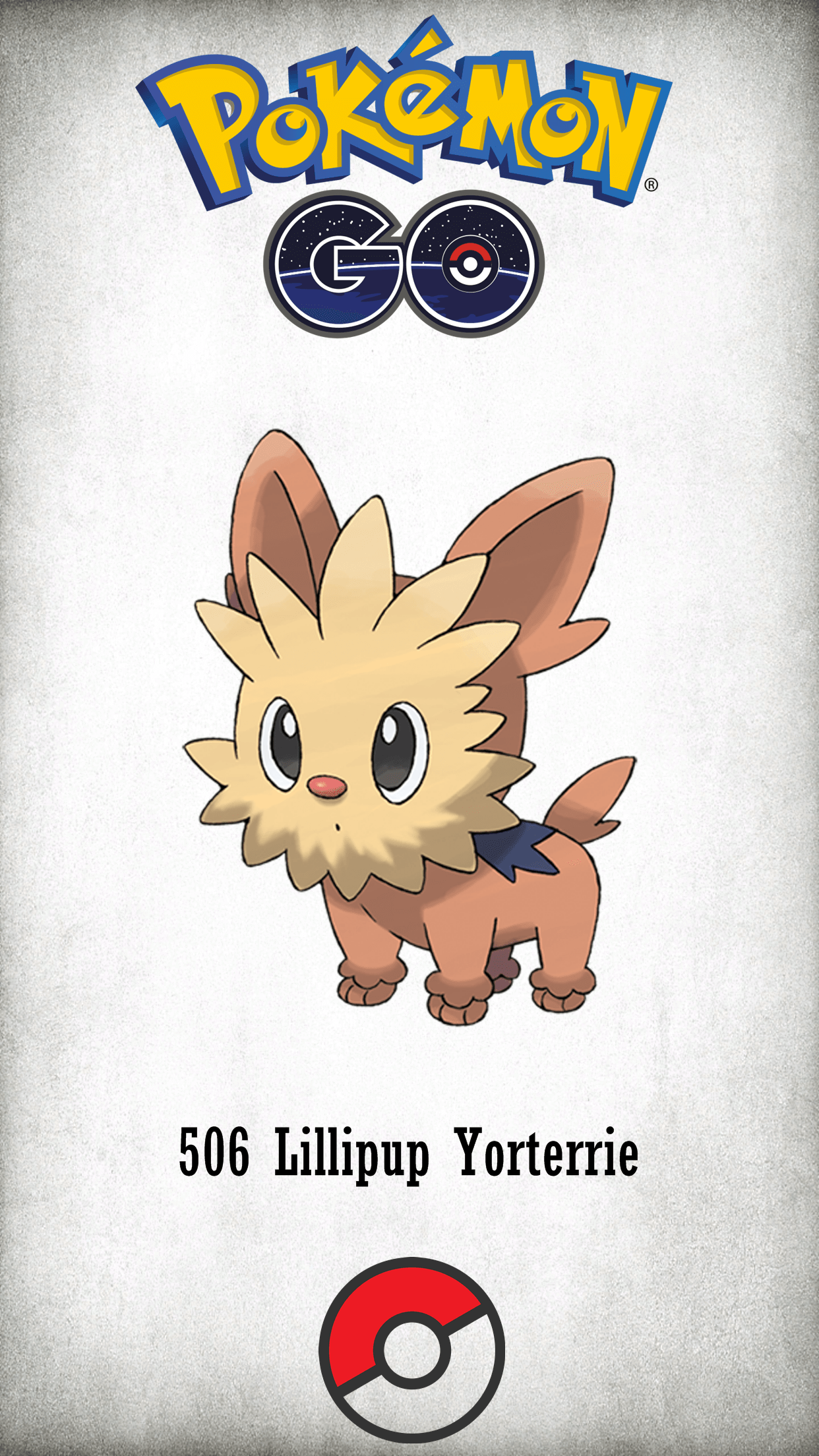 506 Character Lillipup Yorterrie