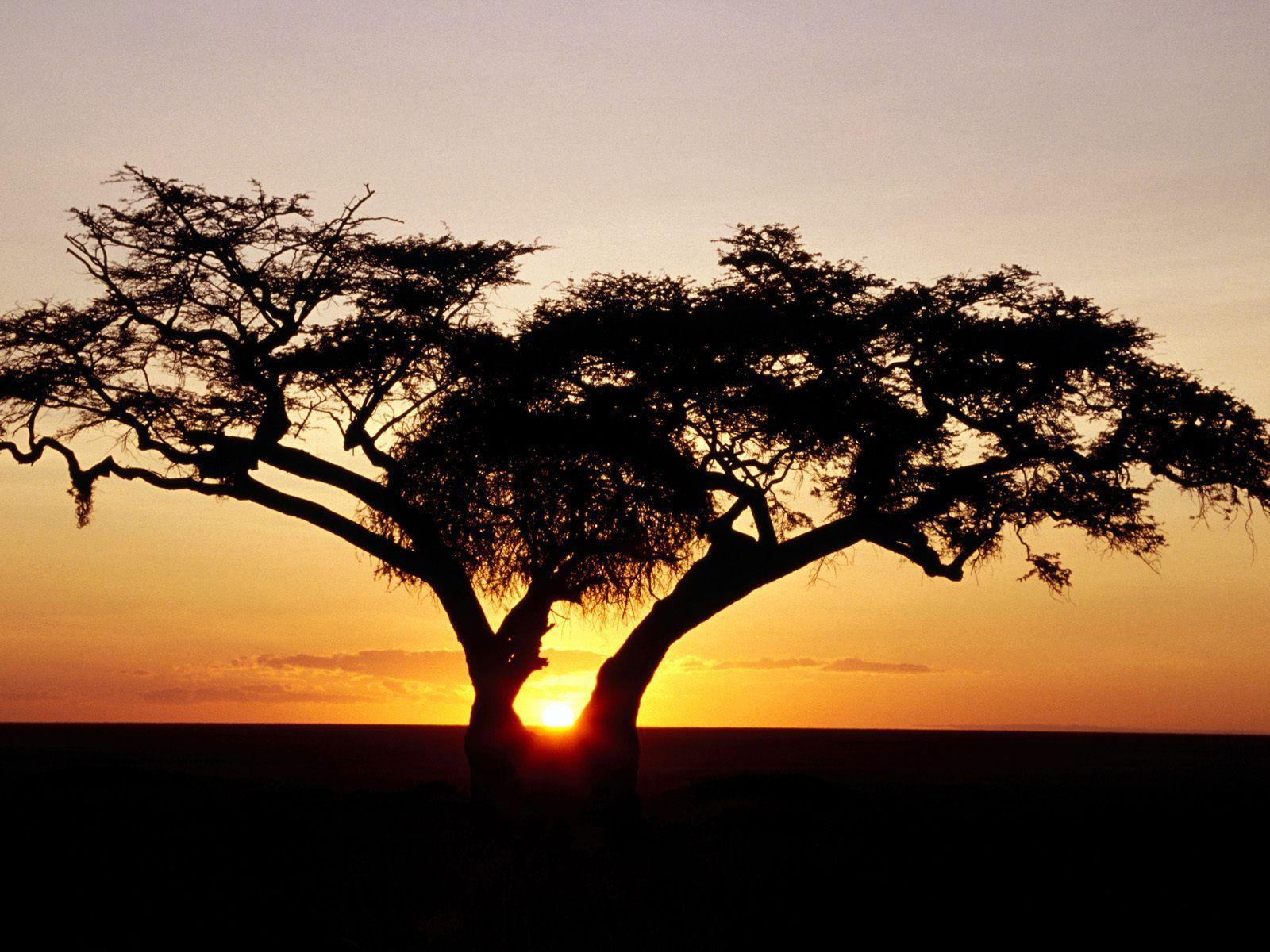 Sunrise, Africa desktop wallpapers