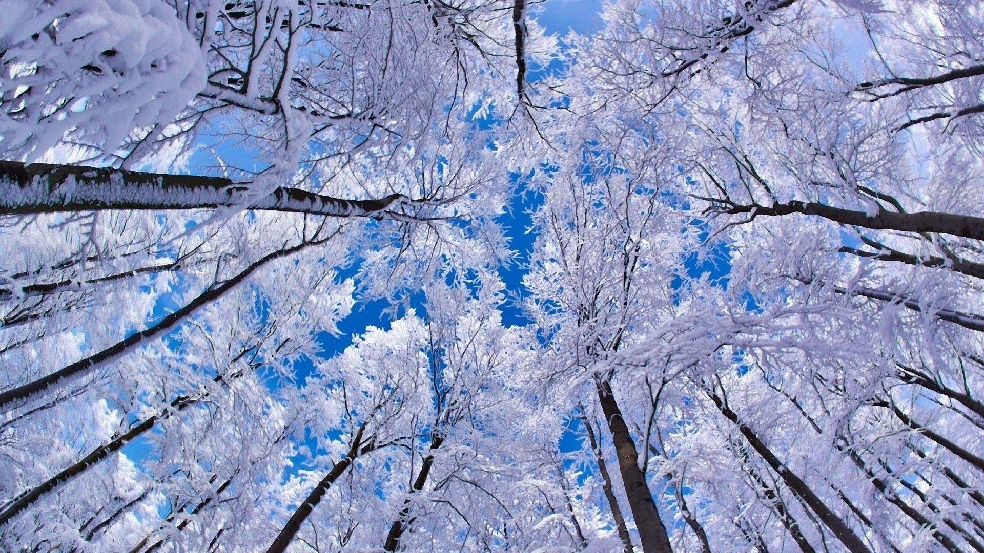 Snow in Baku and districts