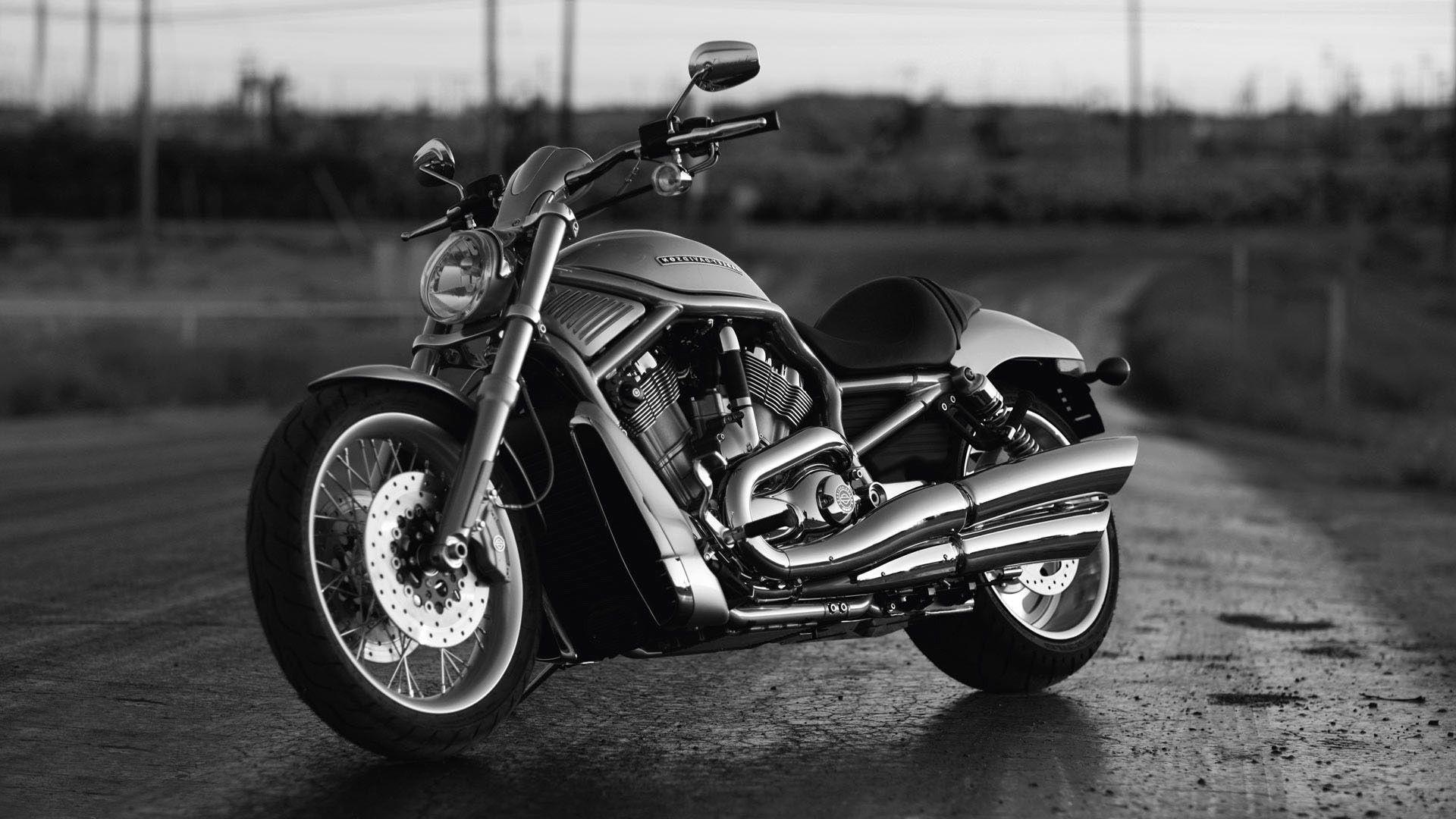 Harley Davidson Wallpapers HD