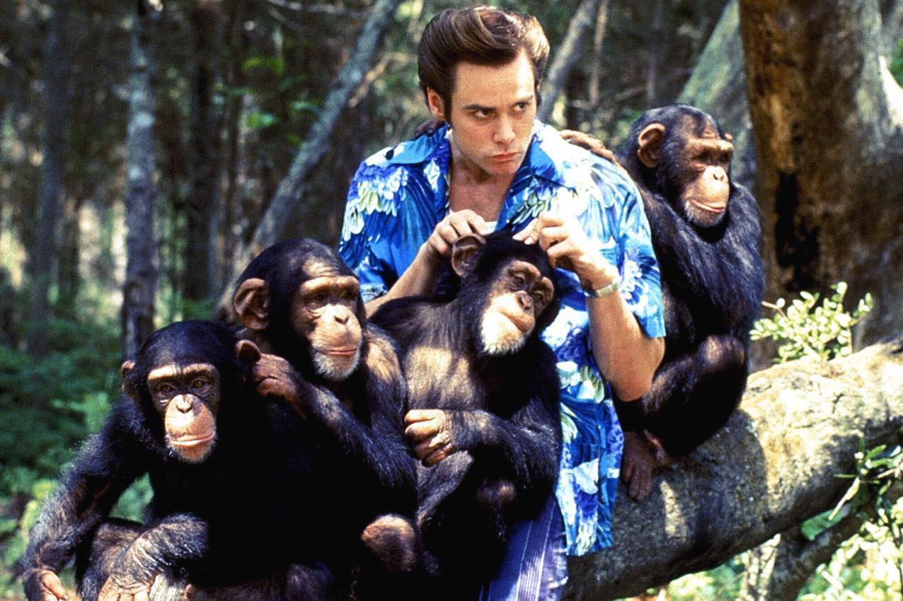 Most viewed Ace Ventura: Pet Detective wallpapers