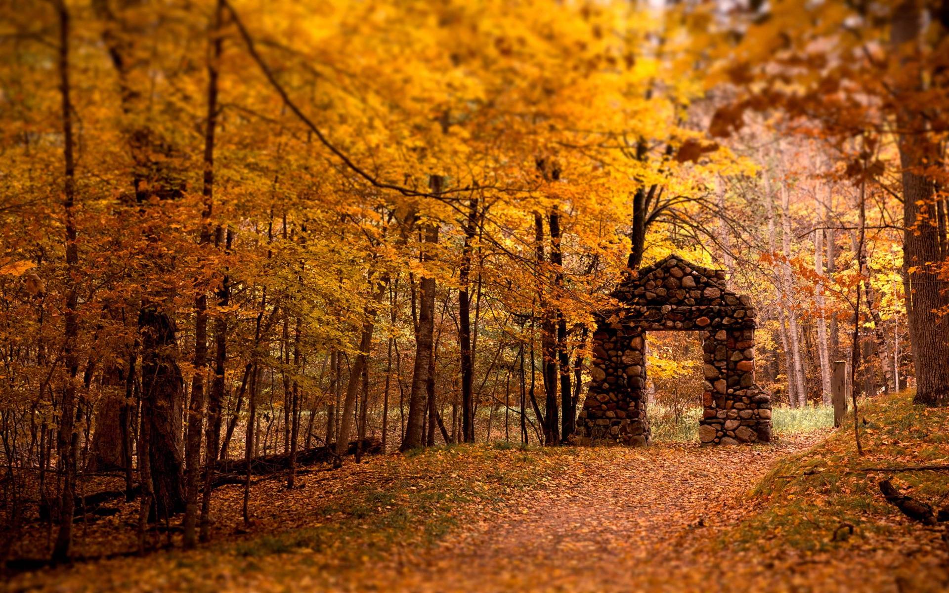 Fall HD Wallpapers › Findorget